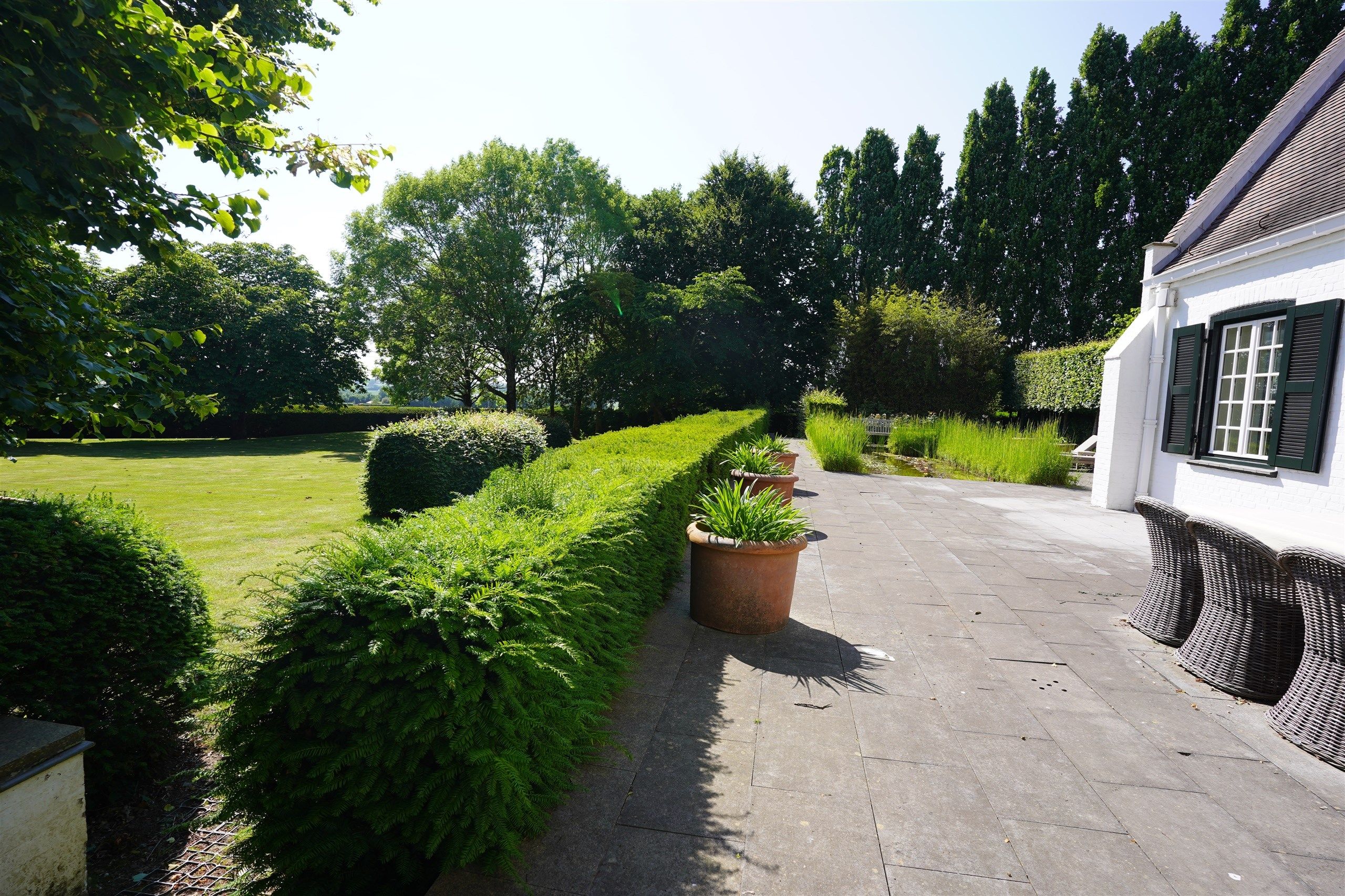 Bellegem bos: uitzonderlijk, waardevol landgoed! foto 2