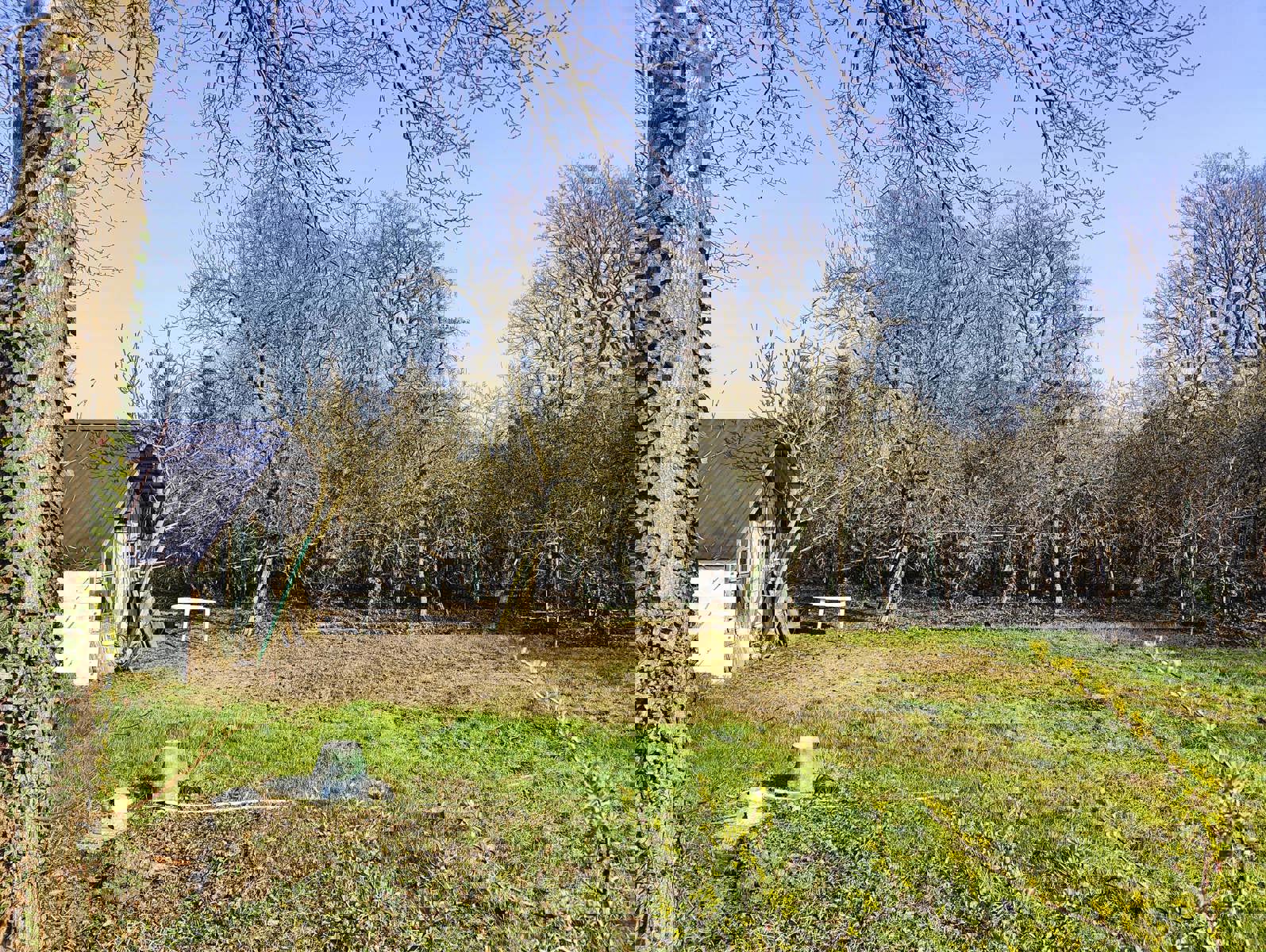 Bouwgrond in groene omgeving op prachtperceel foto 7