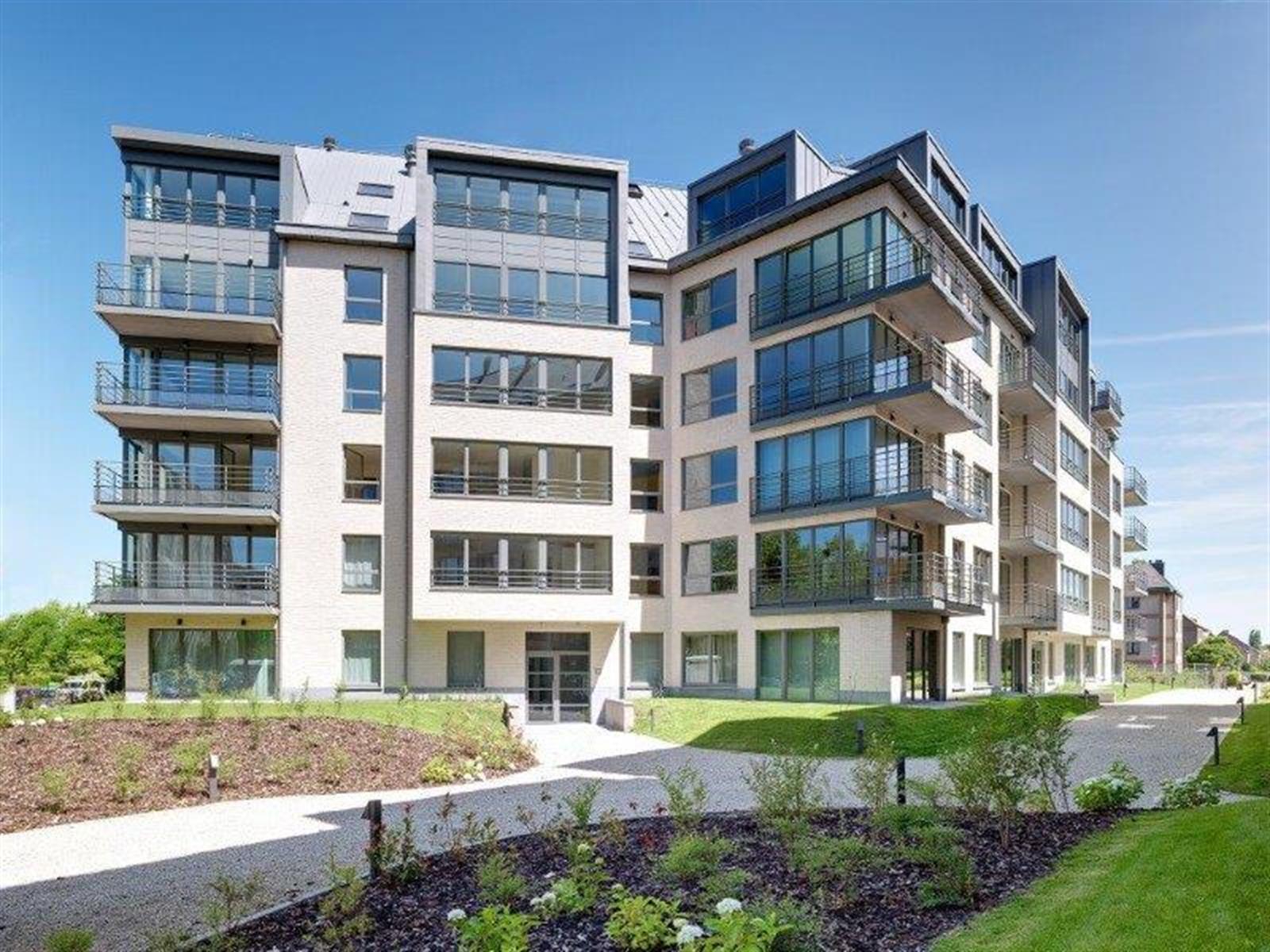 LICHTRIJK - GEMEUBELD Appartement 1 kamer (NAVO area) foto 11