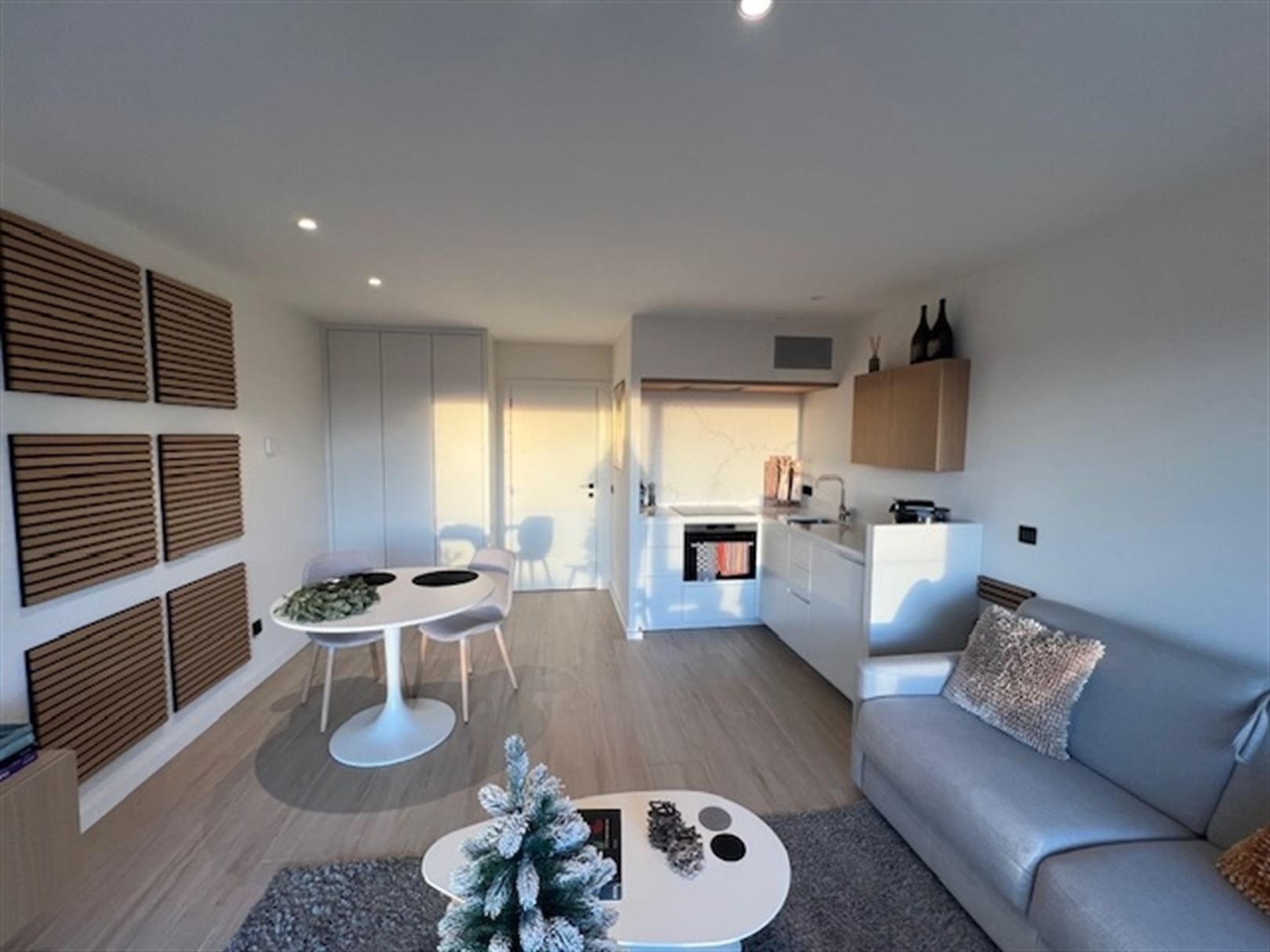 Compleet vernieuwde studio met zicht op duinen zuidgerciht foto 7