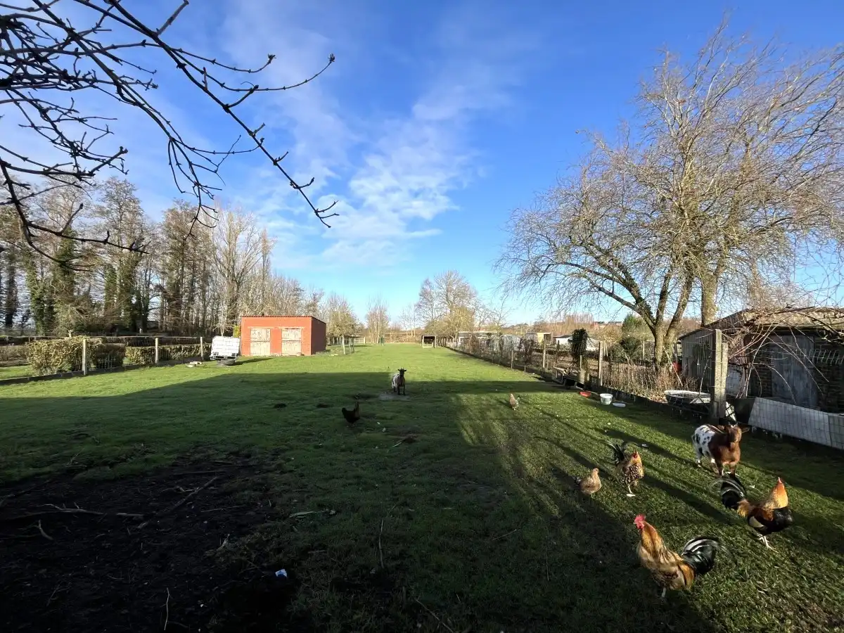Zonnebeke – Woning met ruime tuin en uitweg achteraan foto 12