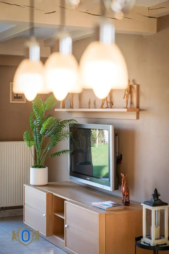 4-slpkr villa met garage & tuin foto 4