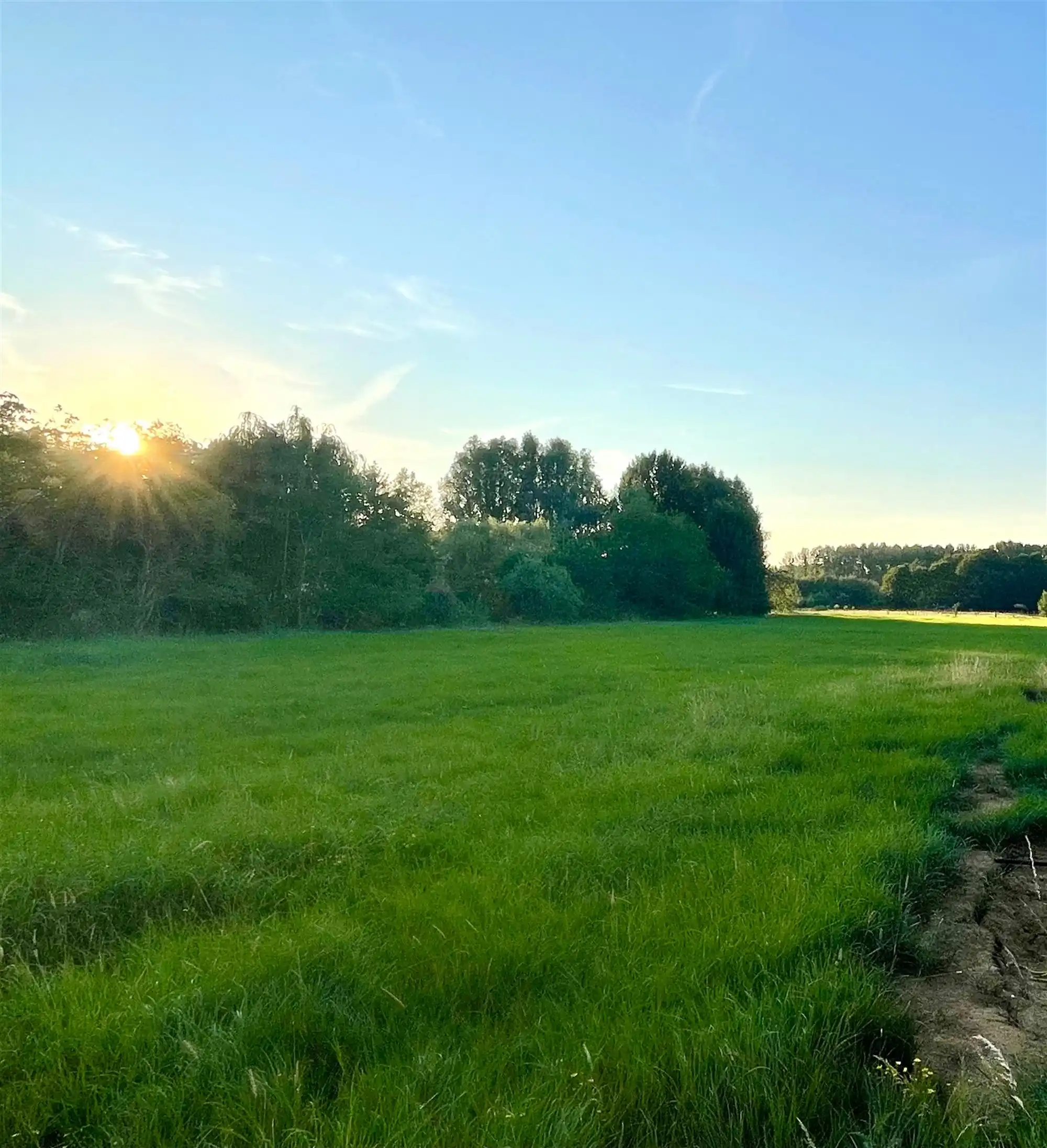 Bouwen aan uw toekomst te Tielt-Winge foto 2