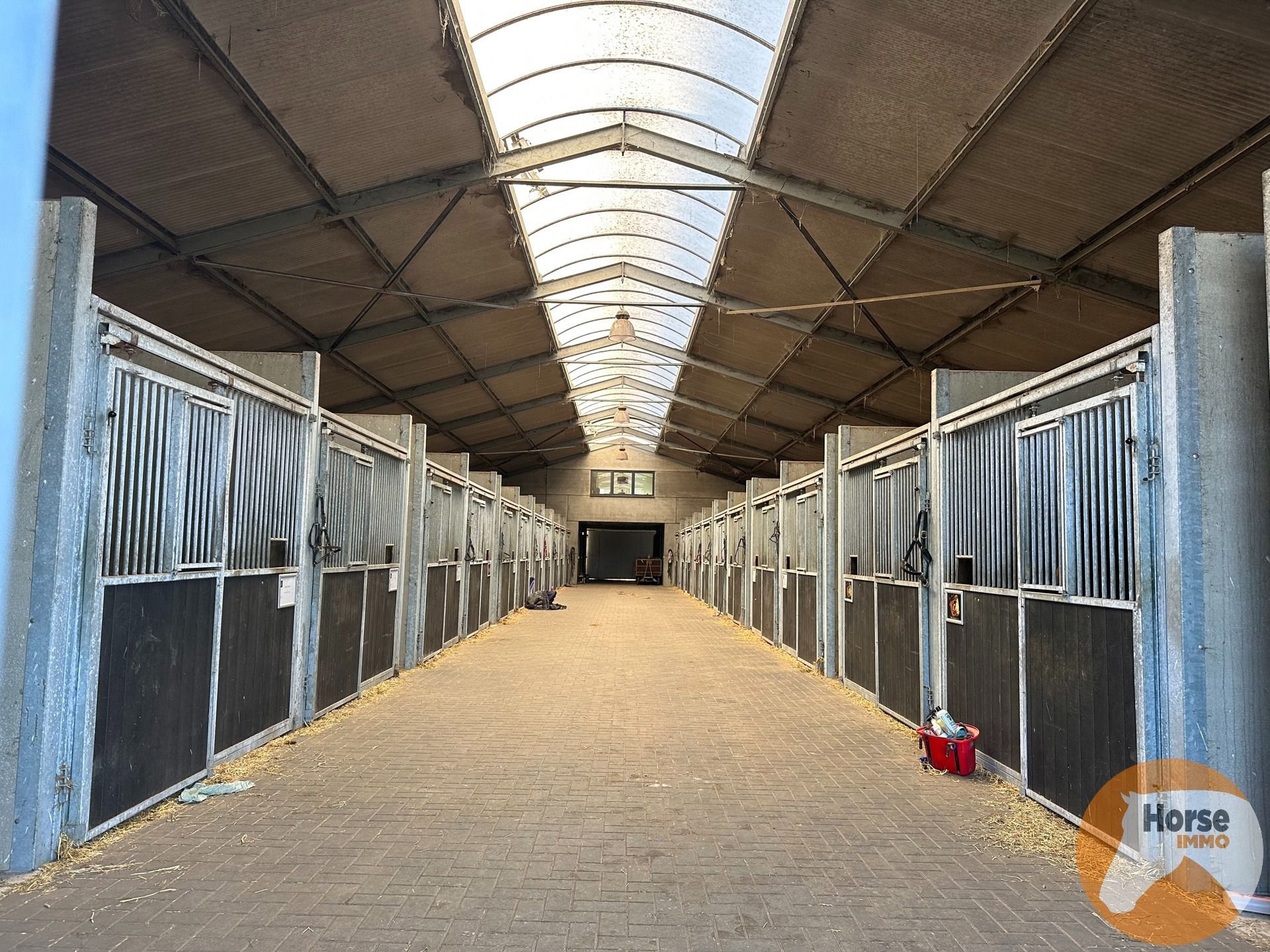 KAMPENHOUT - Professionele paardenaccommodatie op 4ha28 foto 9