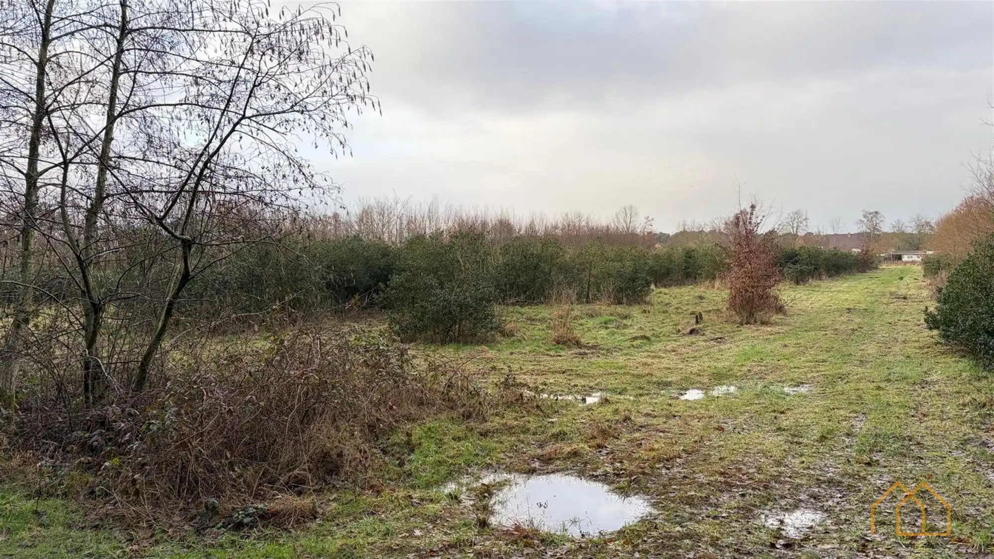 Landbouwgrond van 8600m² in Ten Aard foto 5