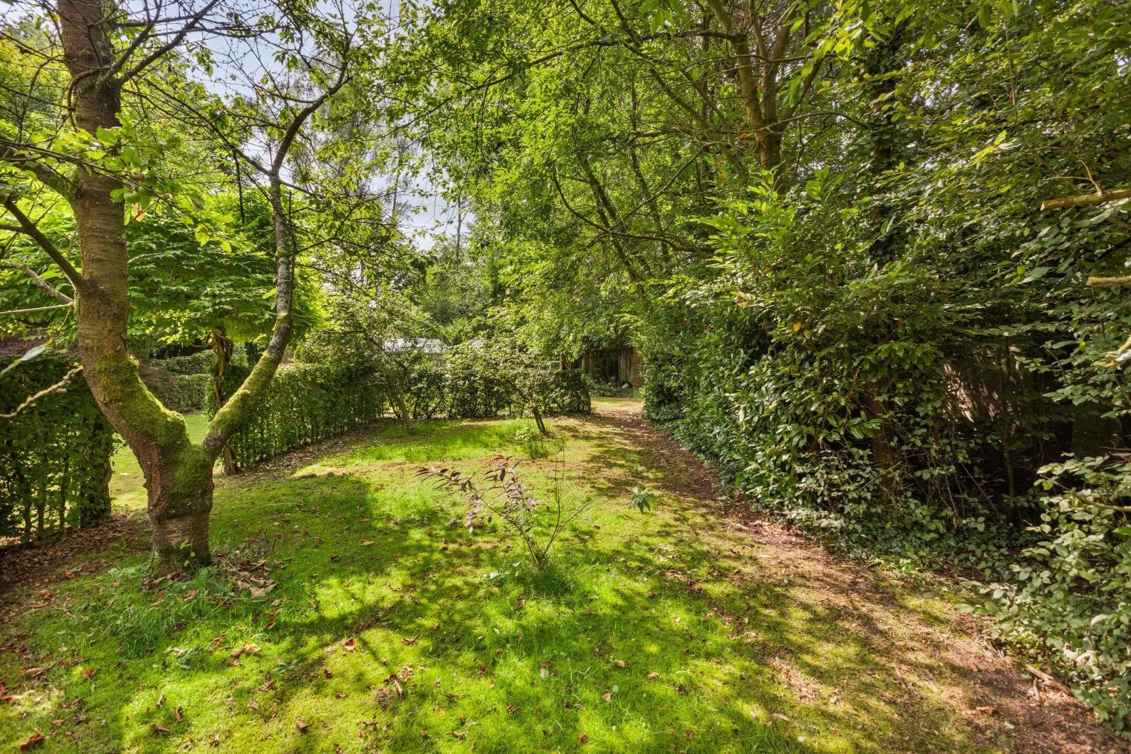 Mooie villa op een zonnig perceel van 3.620m² in Hulsen  foto 29