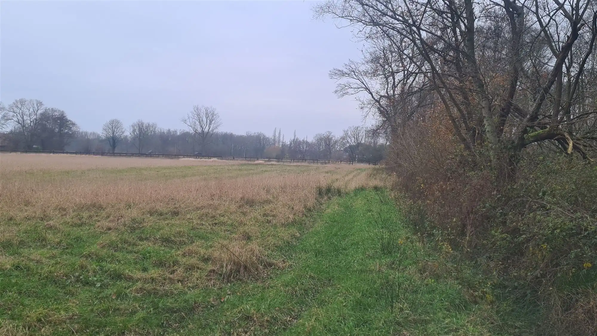 Landbouwgrond foto 8