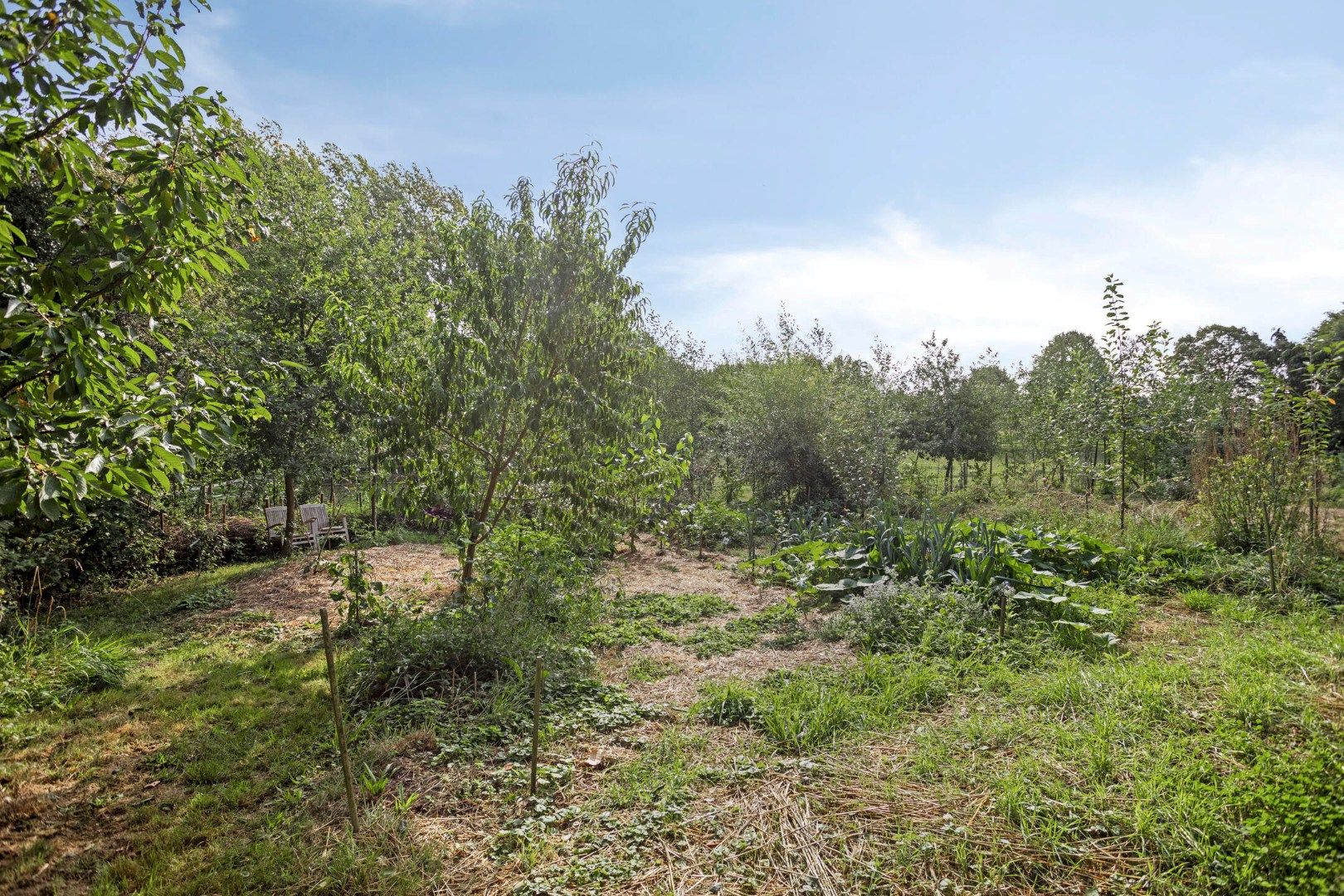 Unieke vakantiewoning, rustig gelegen op een perceel van 2.874m² foto 13
