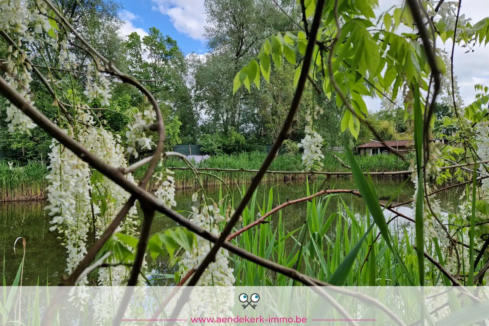 Bijzondere recreatie-eigendom met vijver en bemeubelde chalet te Maaseik foto 21