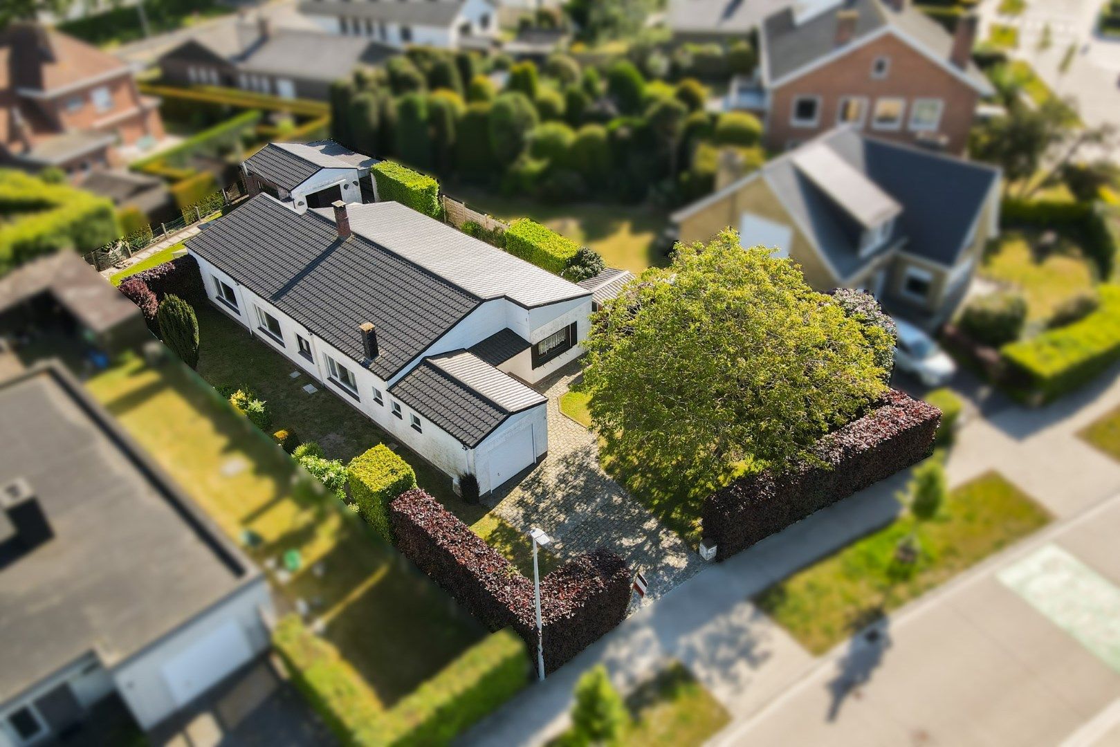 Hoofdfoto van de publicatie: Ruime bungalow op 707 m² op toplocatie in Sint-Andries! 