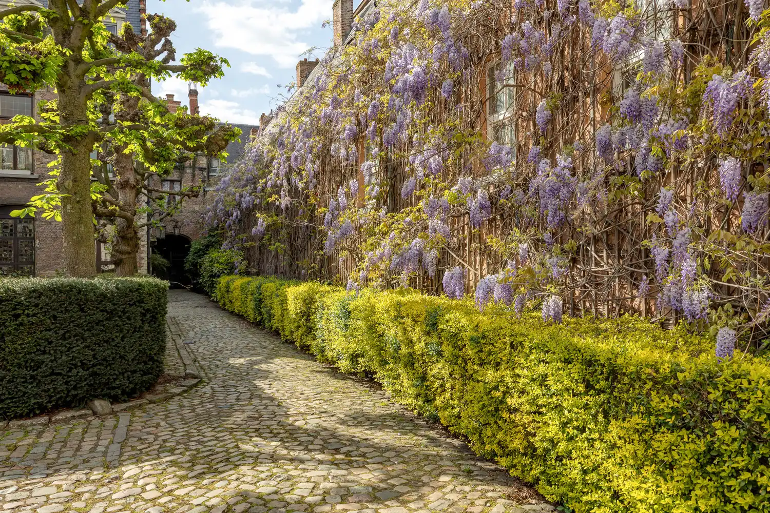Een zeldzaam en groen privilige in het hart van Antwerpen: wonen in het historische Venushof foto 33