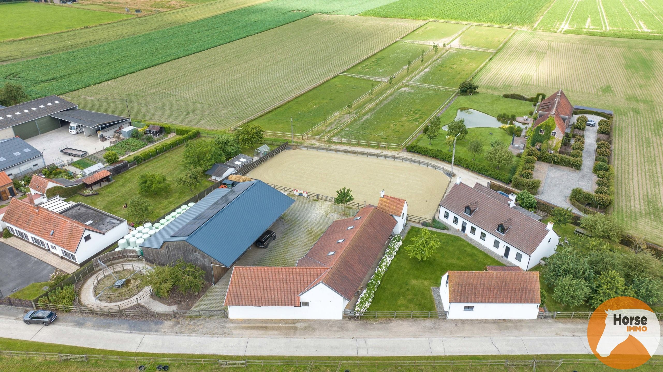 WORTEGEM-PETEGEM - Woning met bijgebouw, paardenaccomodatie foto 53