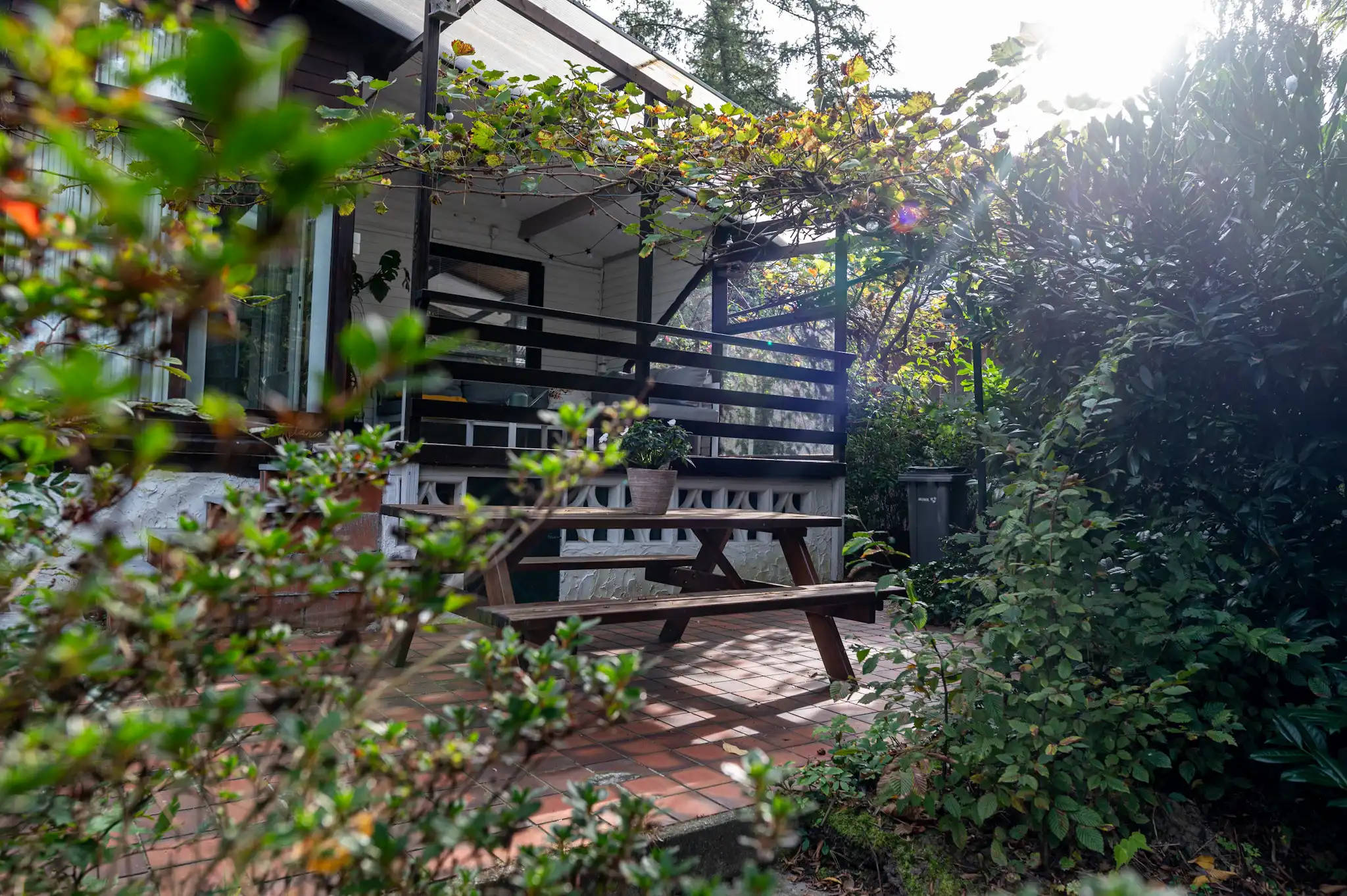 Vernieuwde chalet in het groen - domicilie mogelijk! foto 17