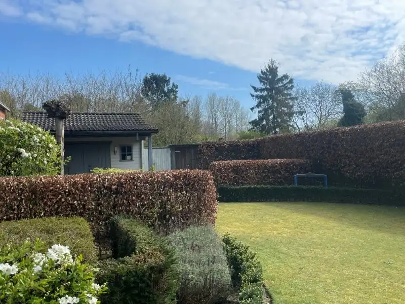 Huis te koop foto 7
