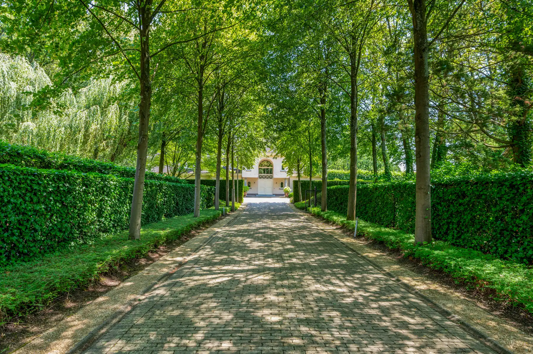 Ruime villa met binnenzwembad, EPC B en 5 slpk in Brasschaat foto 5
