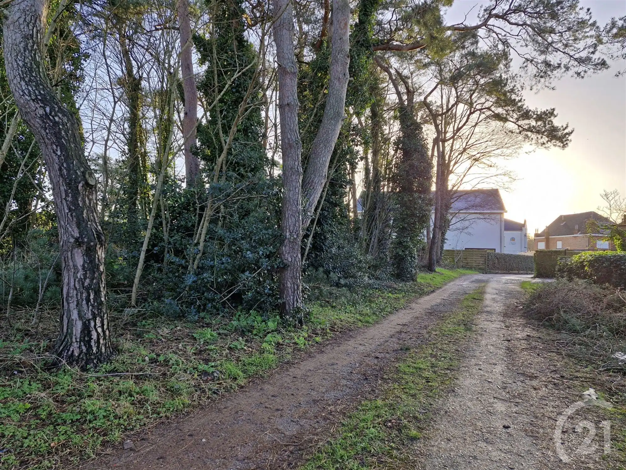 Nieuw te bouwen woning te koop in Tremelo! foto 7