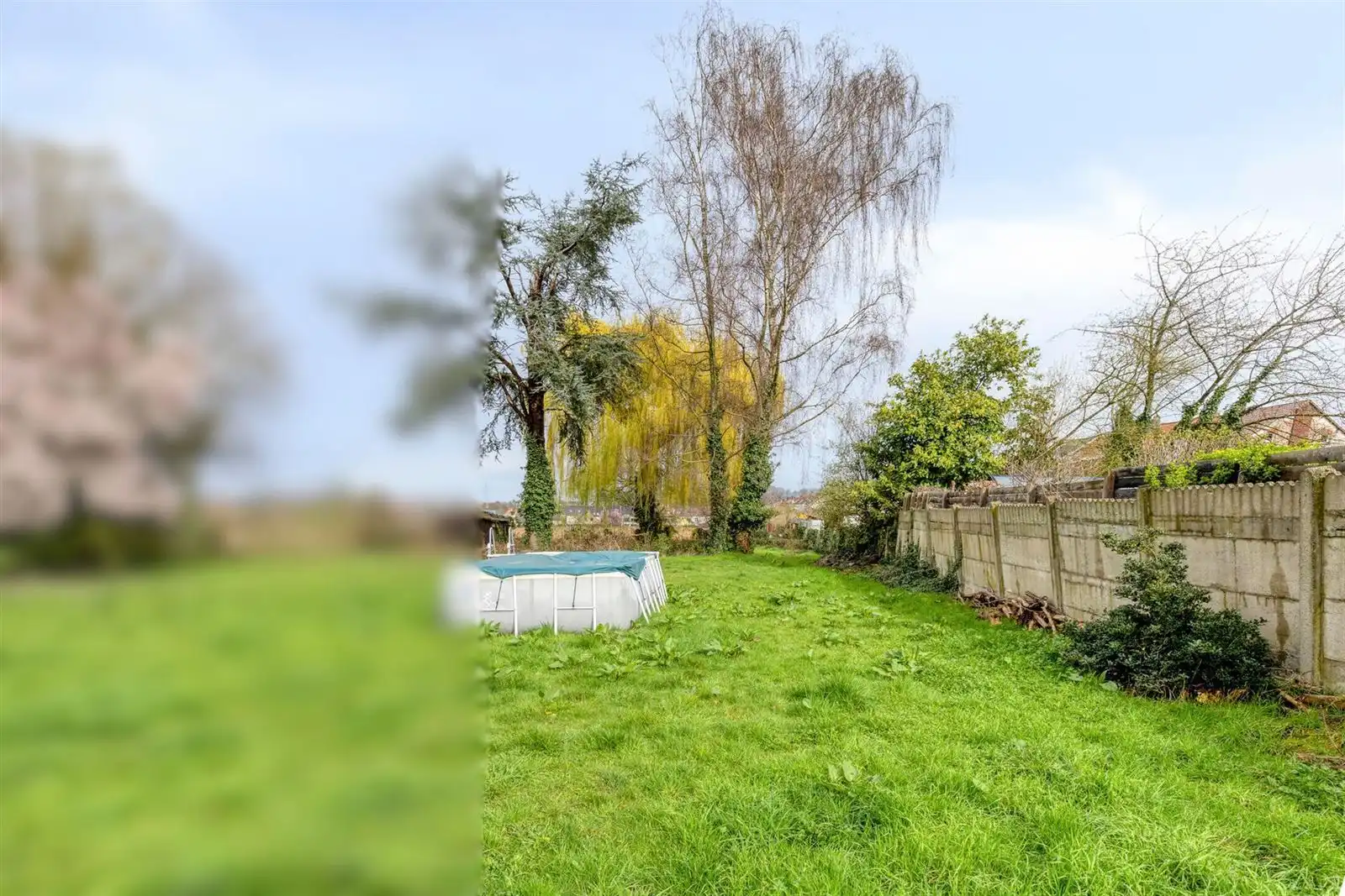 Bouwgrond voor een 2-gevel op 9a12ca foto 6