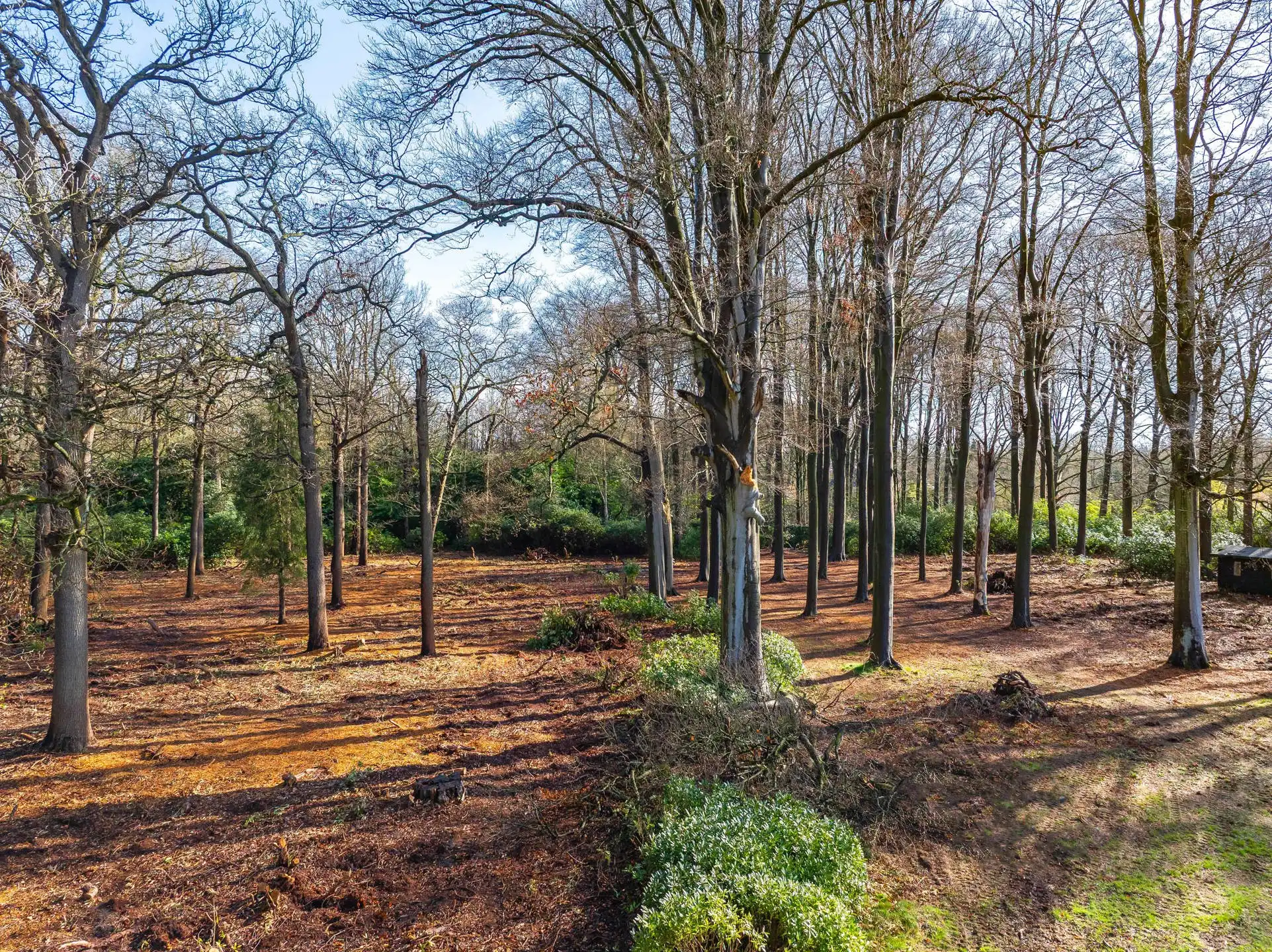 Exceptionele bouwgrond van 12.465 m² in Vriesdonk foto 9