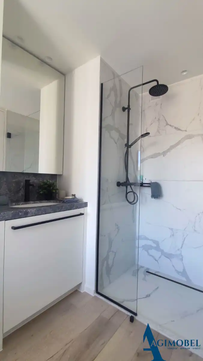 Integraal gerenoveerd penthouse met zonne-terrassen op 20 meter wandelafstand van de zeedijk-Albertstrand. foto 9