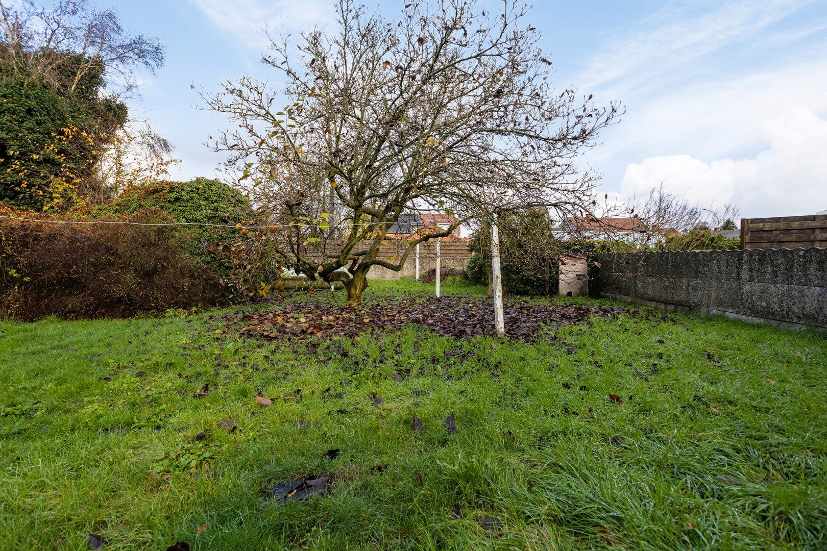 Te renoveren halfopen woning met 3 slpks op 604 m² te St.-Jozef-Olen ! foto 23