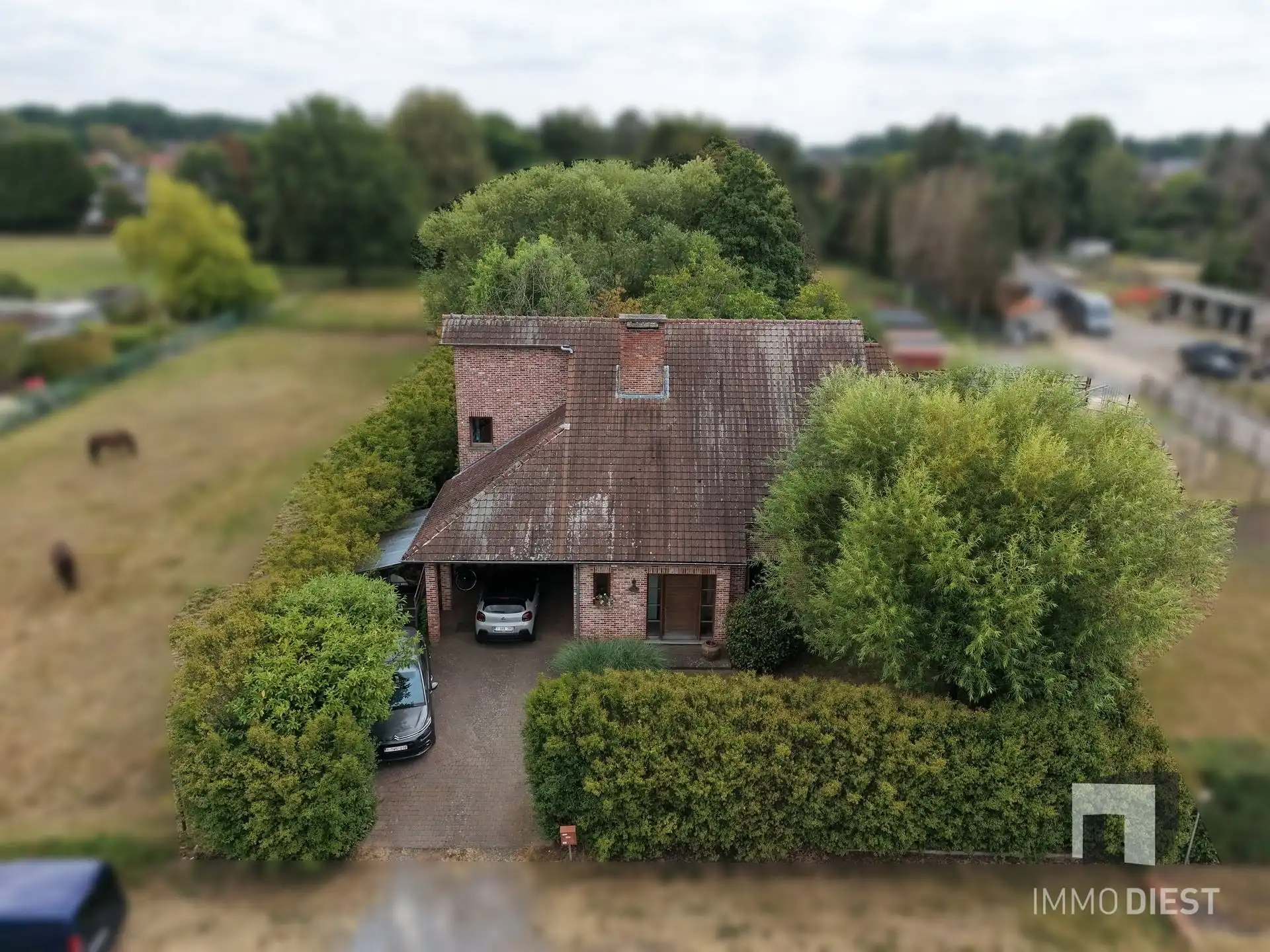 Ruim wonen in het groen van Koersel foto 4