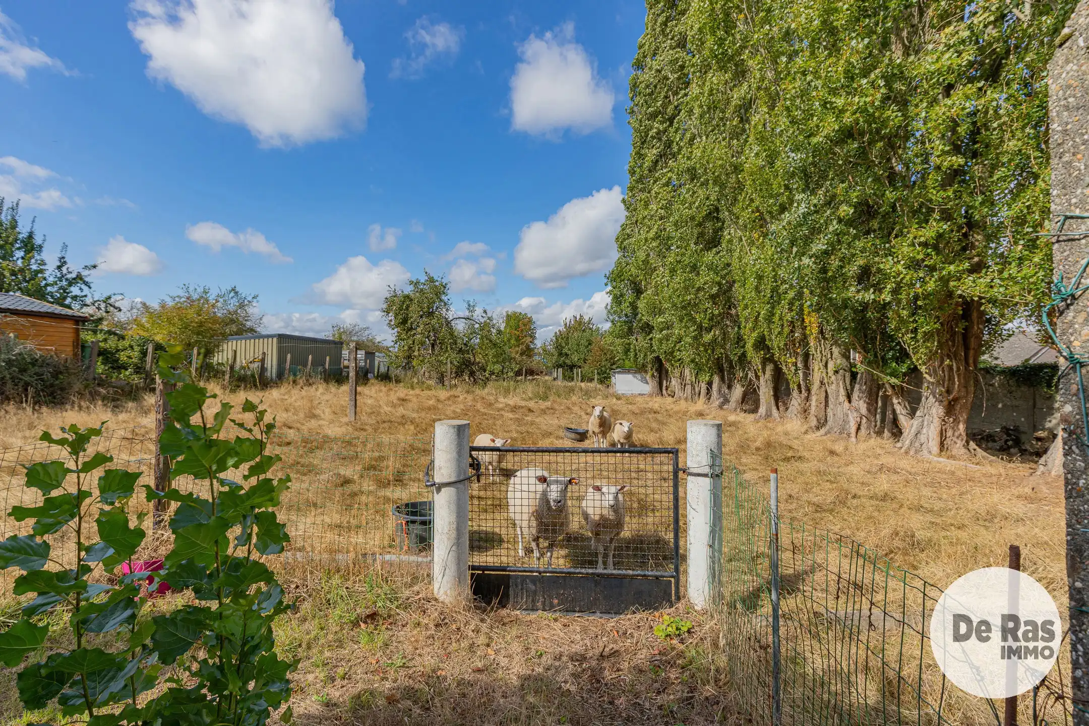 ERPE-MERE - Degelijke gezinswoning in het landelijke Mere foto 24