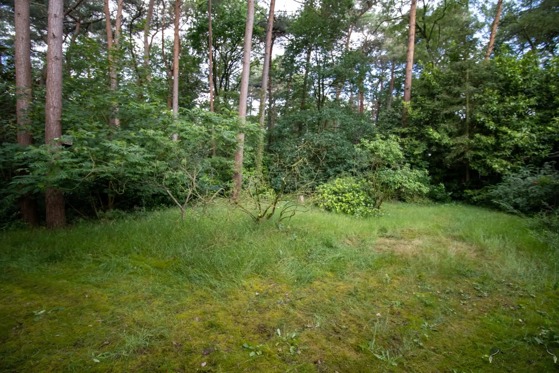 Bungalow met 2 slaapkamers op perceel van 885 m² foto 11
