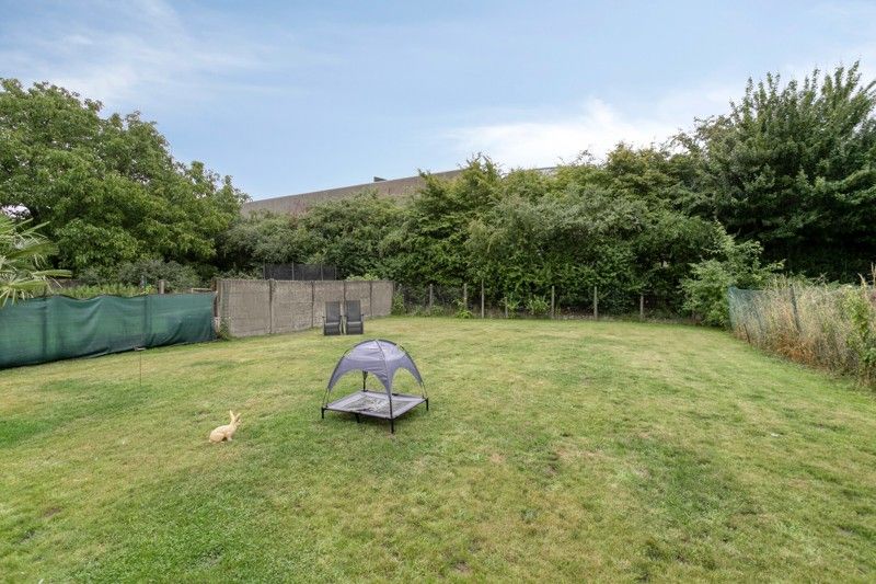 🏡 Gezellige alleenstaande woning met zonnige tuin TE KOOP in Wielsbeke! foto 15