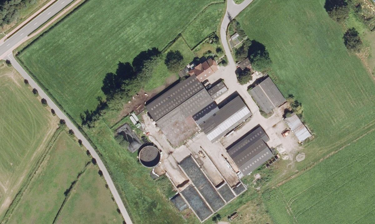Melkveebedrijf met 38,70 ha grond te koop te Bocholt foto 9