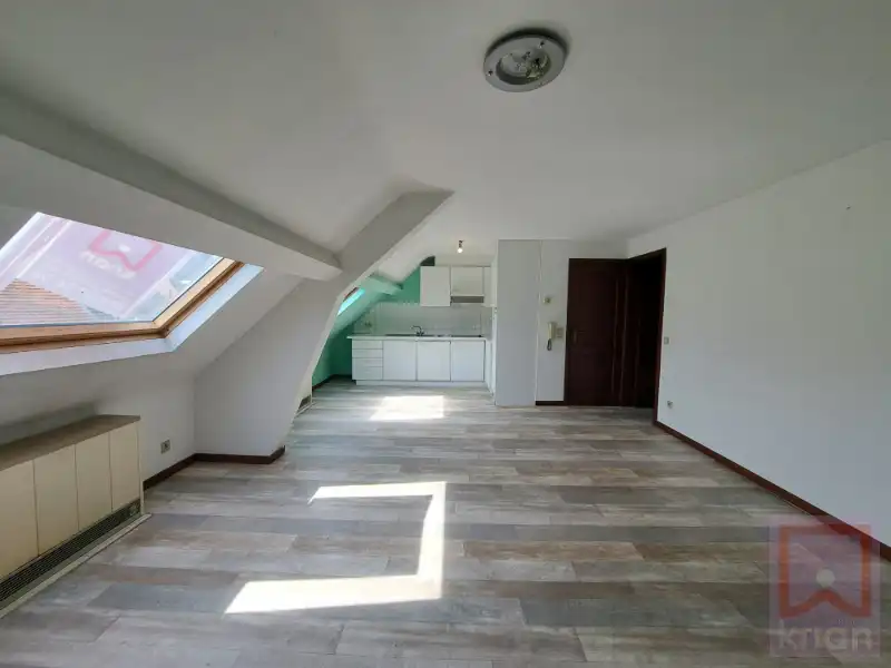 Dakappartement met garage in het centrum van Geel foto 3