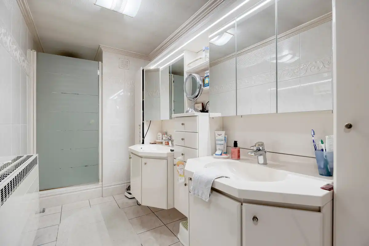 ROYALE WONING MET DOKTERSPRAKTIJK TE BILZEN HOESELT. foto 25