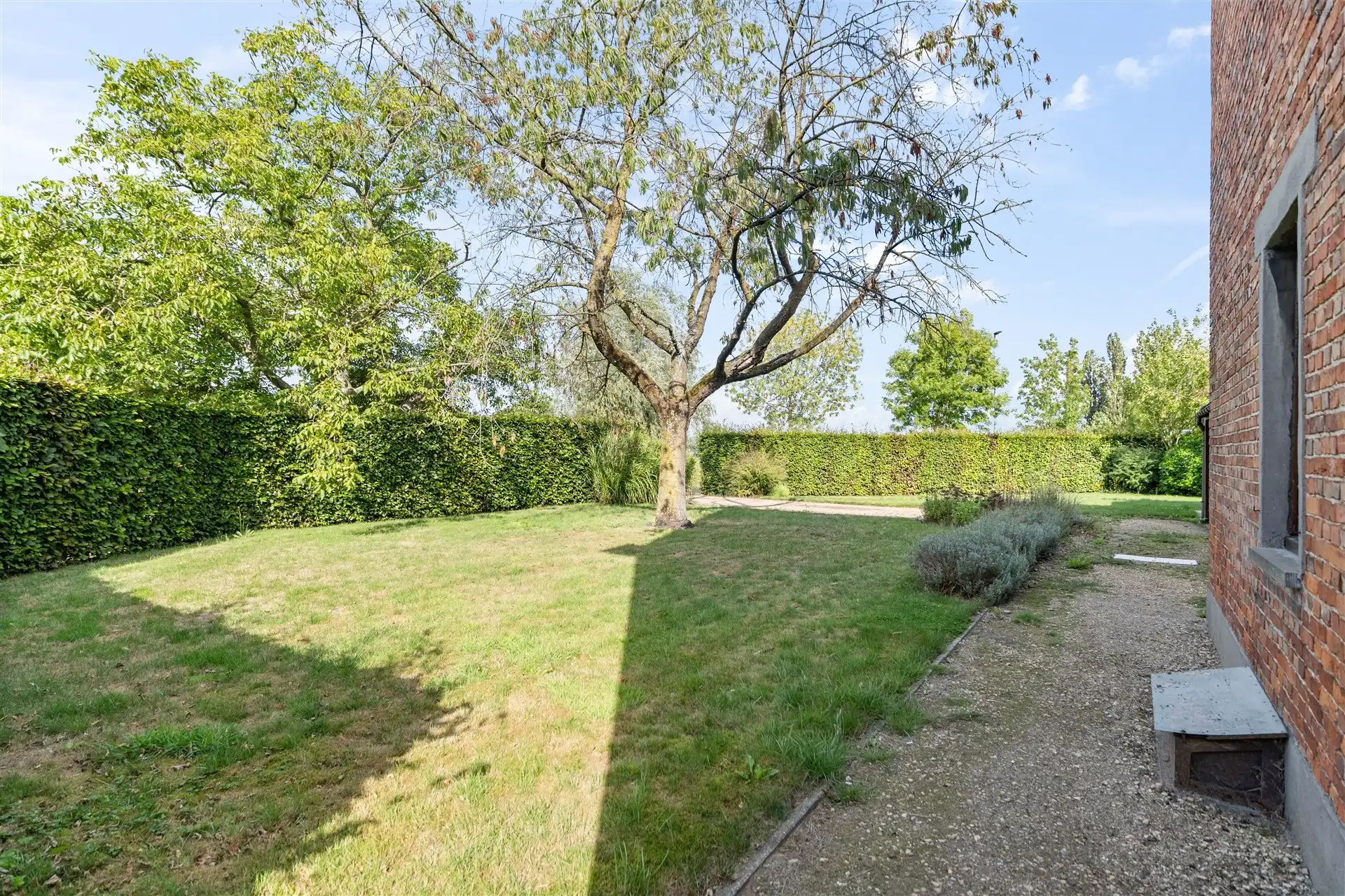 halfopen bebouwing met leuke tuin foto 3