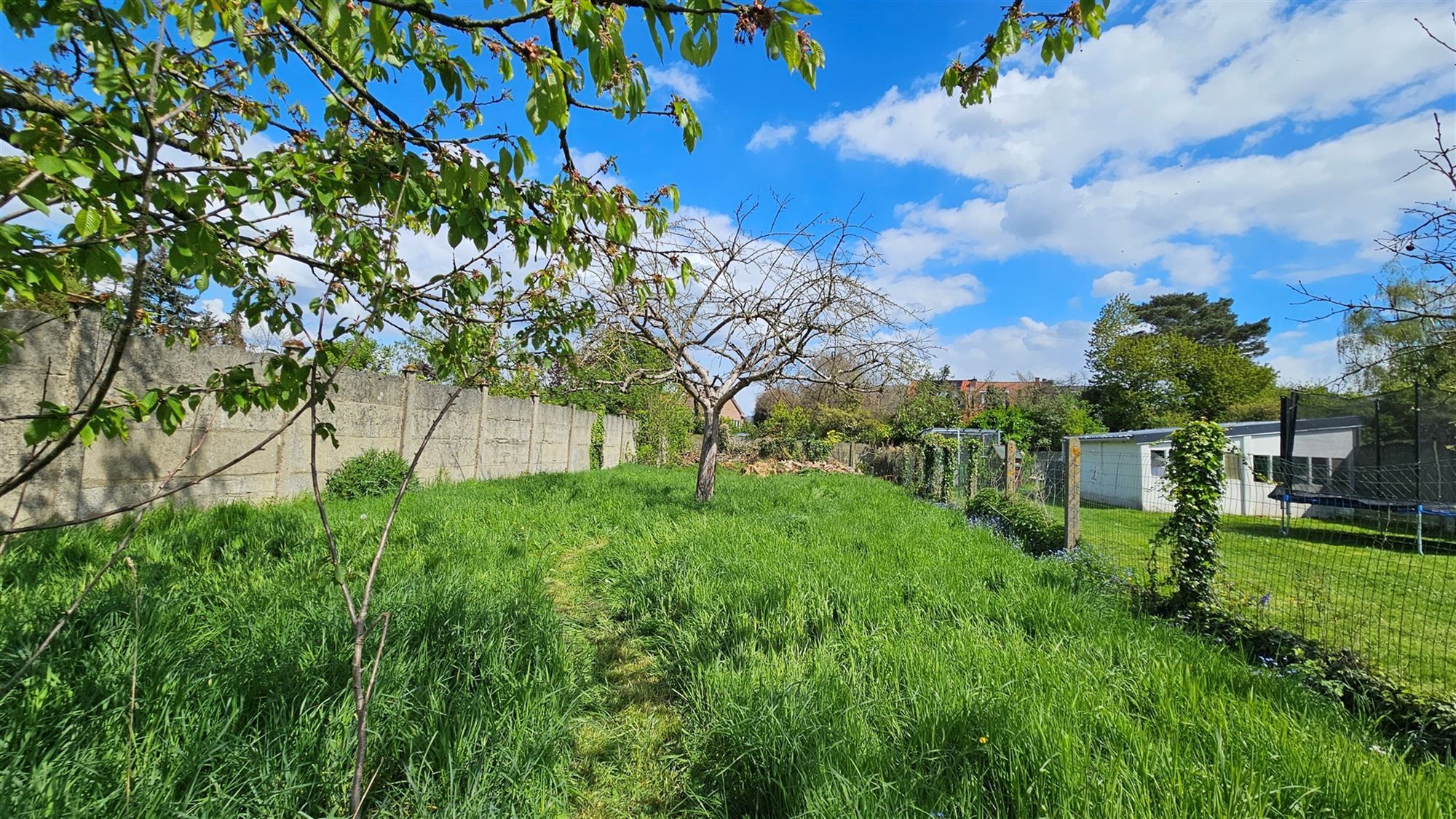 Aangename drie-gevel en bel-étage woning met grote tuin foto 10