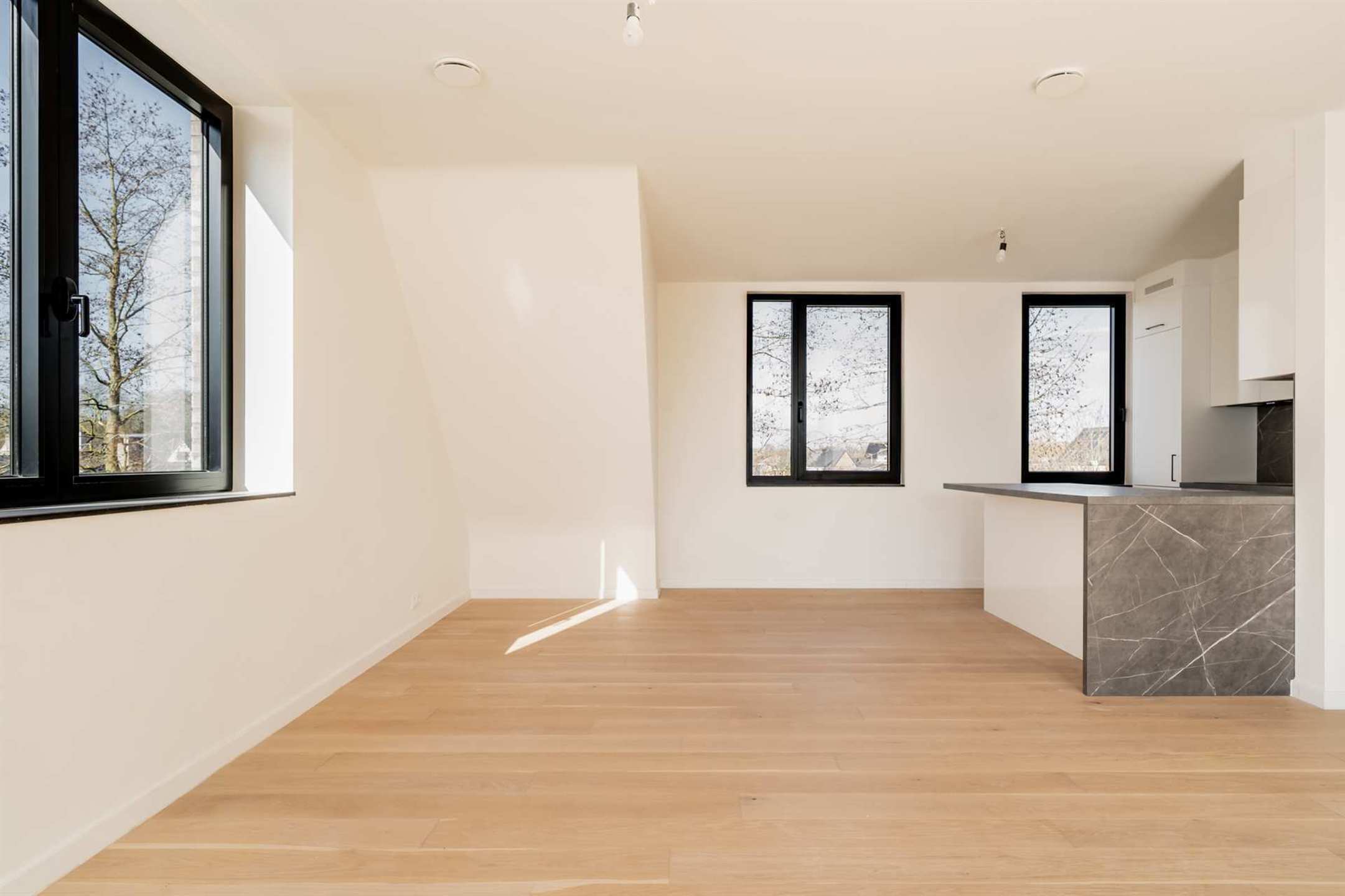 Appartement foto {{pictureIndex}}