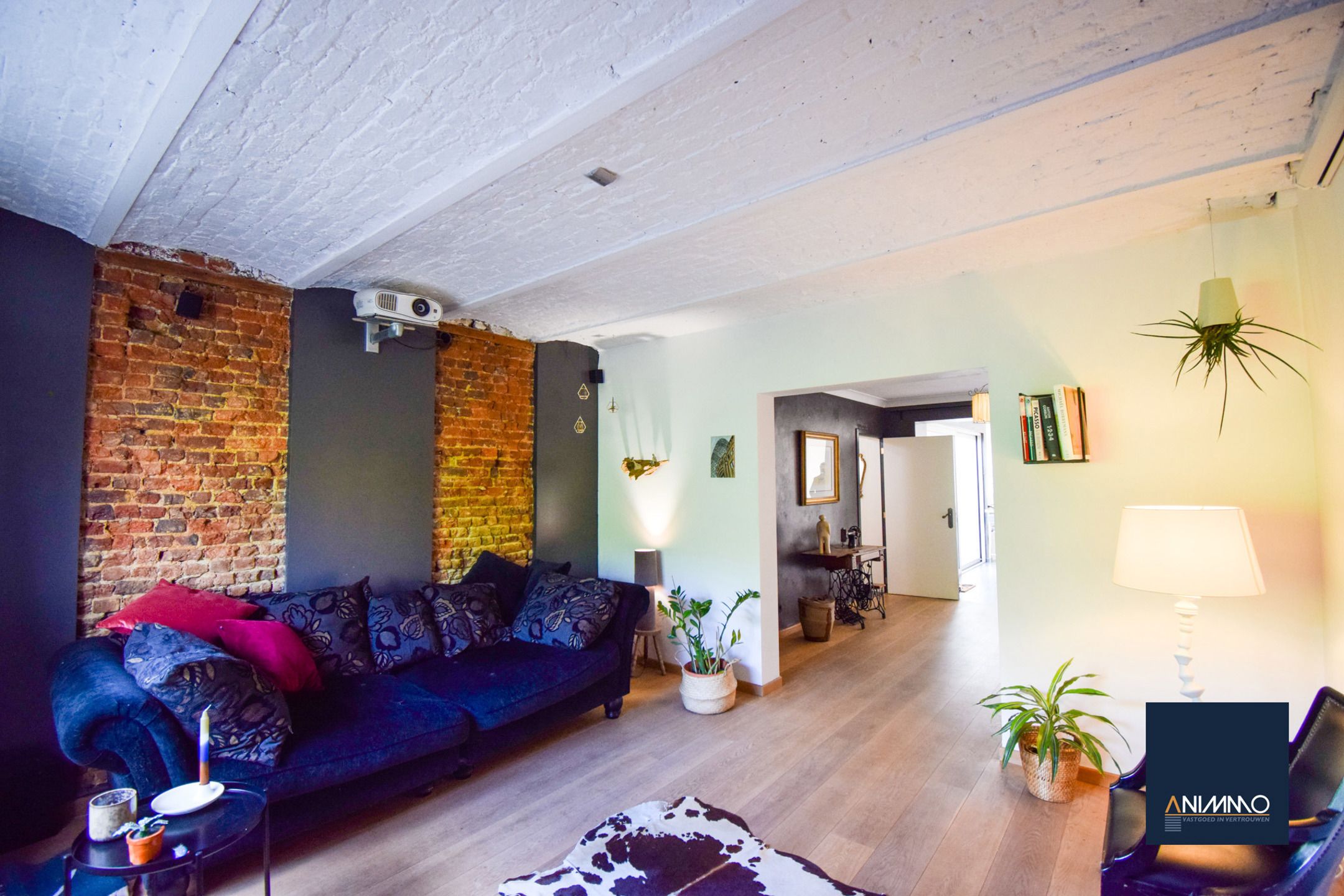 Huis te koop foto 6