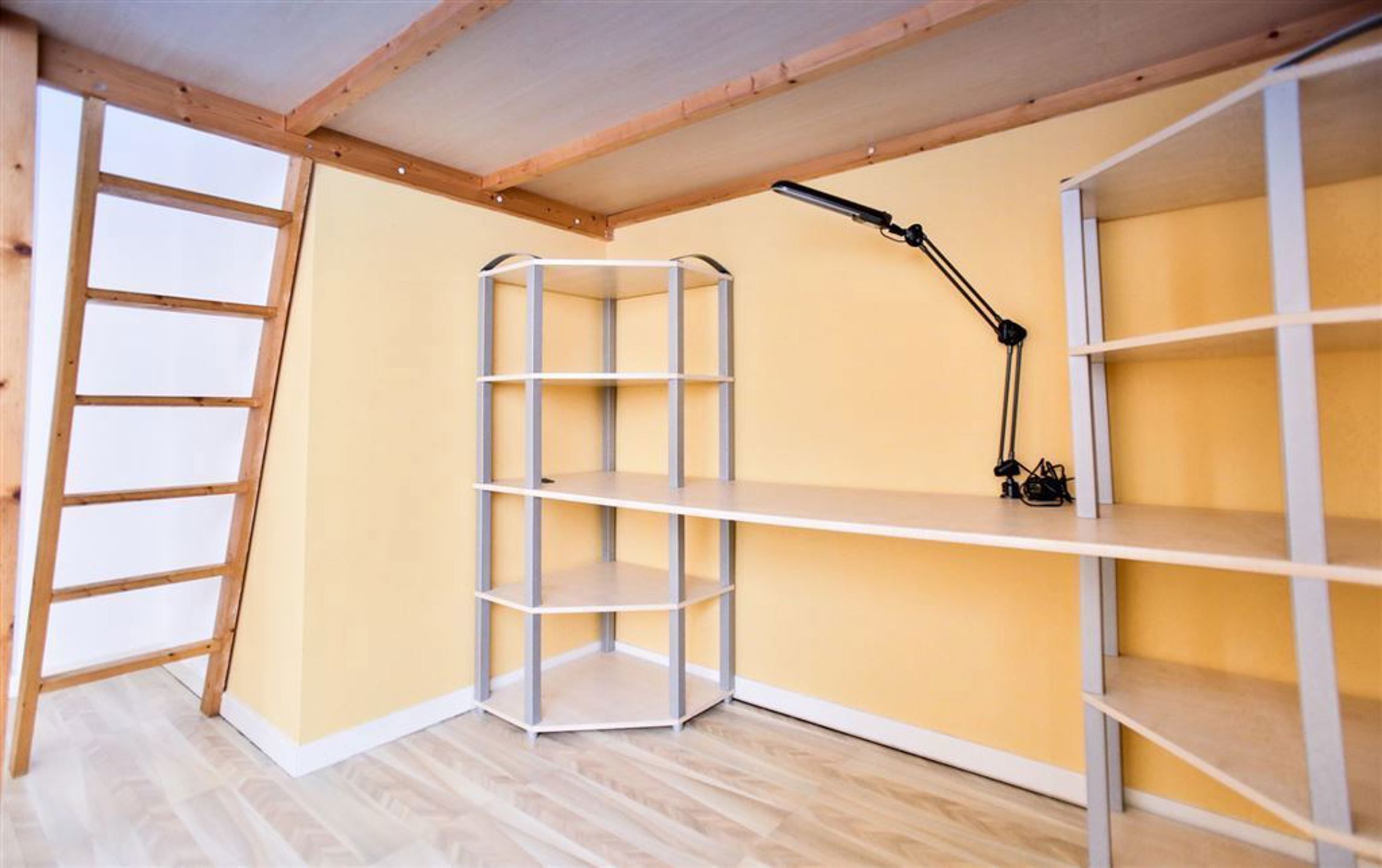 STUDIO - BEGANE GROND foto 4