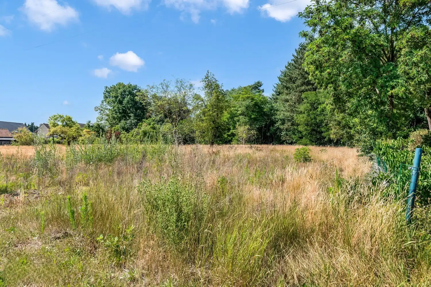 Bouwgrond van 1070 m² voor open bebouwing te Tessenderlo-Ham foto 8