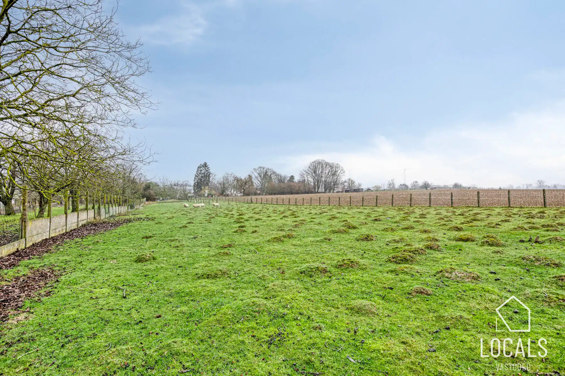 Charmante woning op een topligging in Denderhoutem foto 24