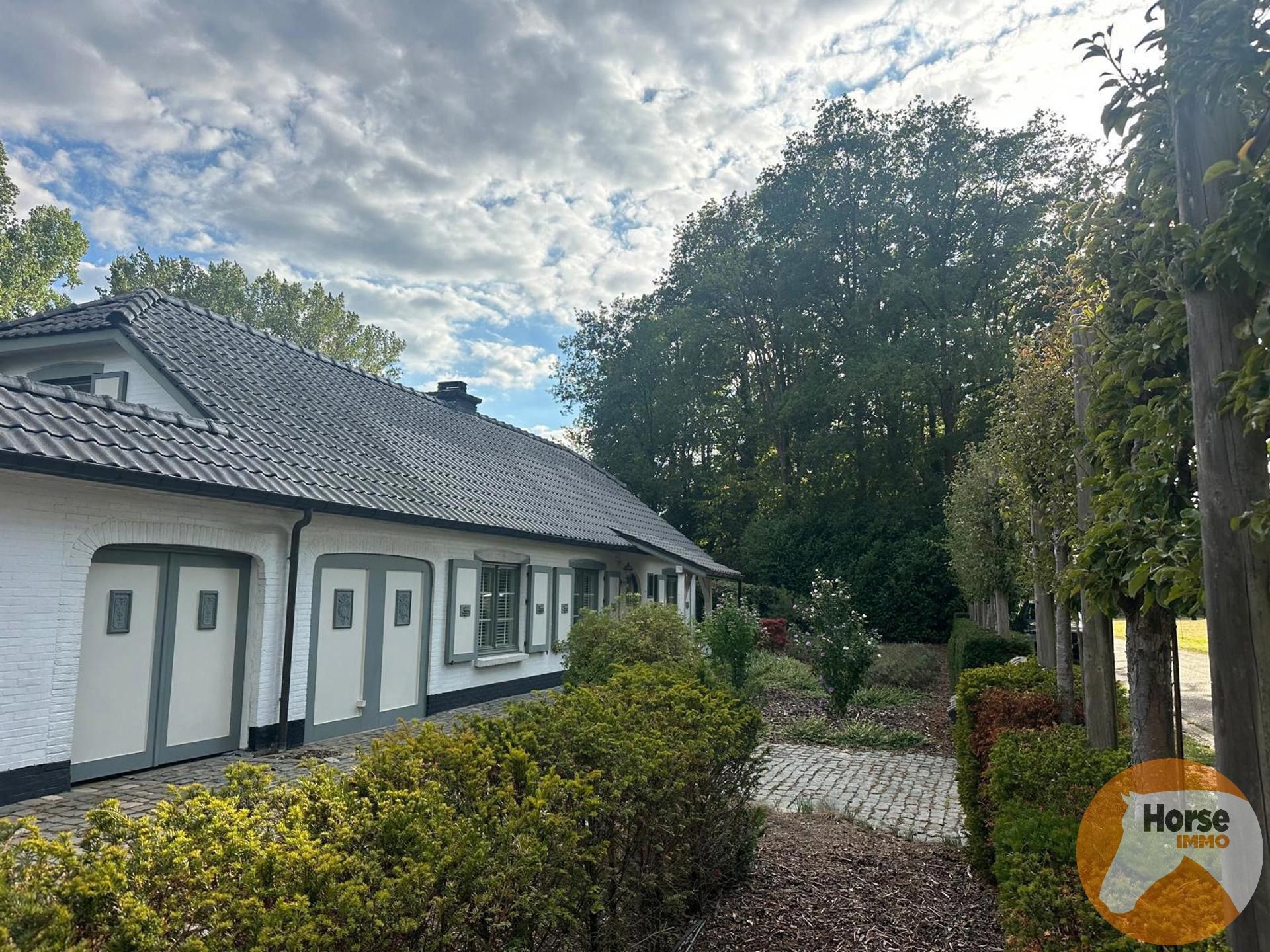 HELCHTEREN - Rustig gelegen cottage op 1ha24 foto 2