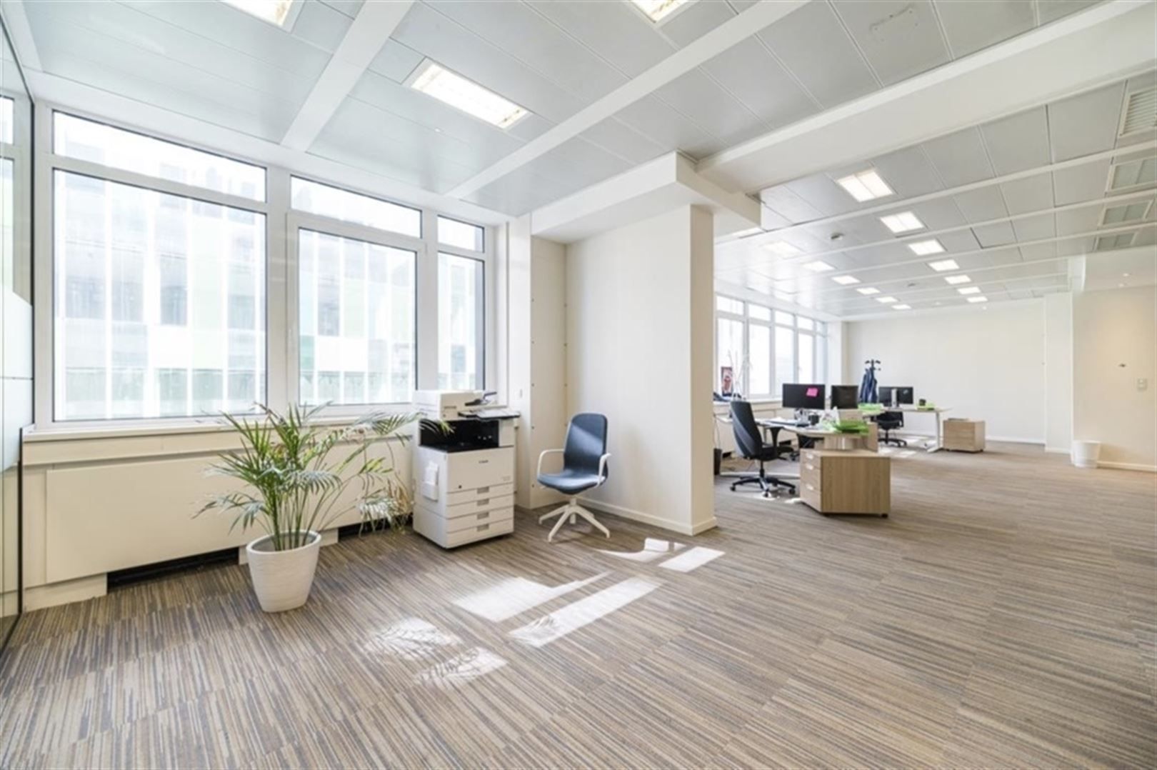 KONING/ ROYALE 144: 378 tot 634m² foto 4