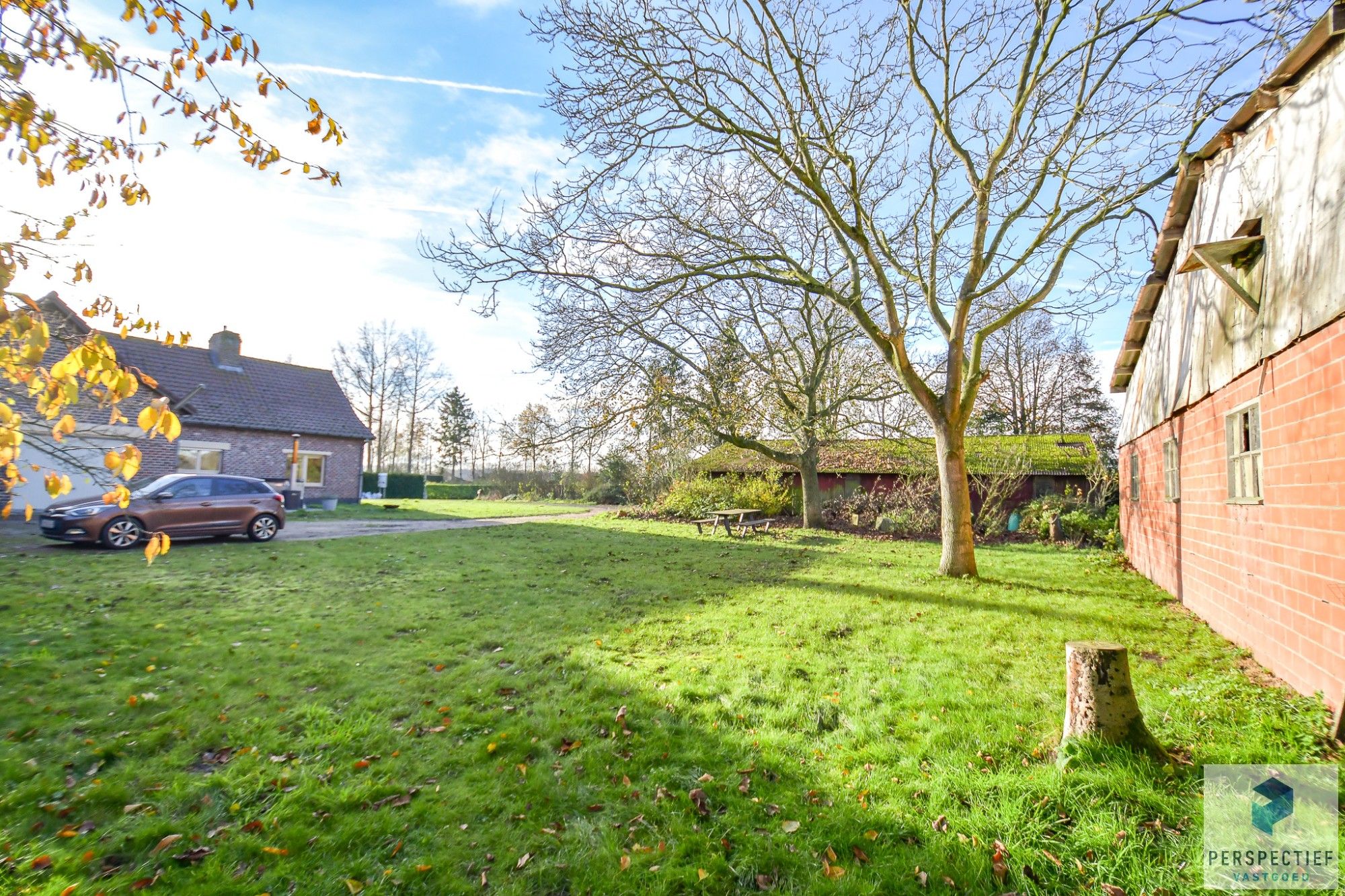 Landelijke woning met een magazijn, schuur en weide op 10&nbsp;224m² foto 5