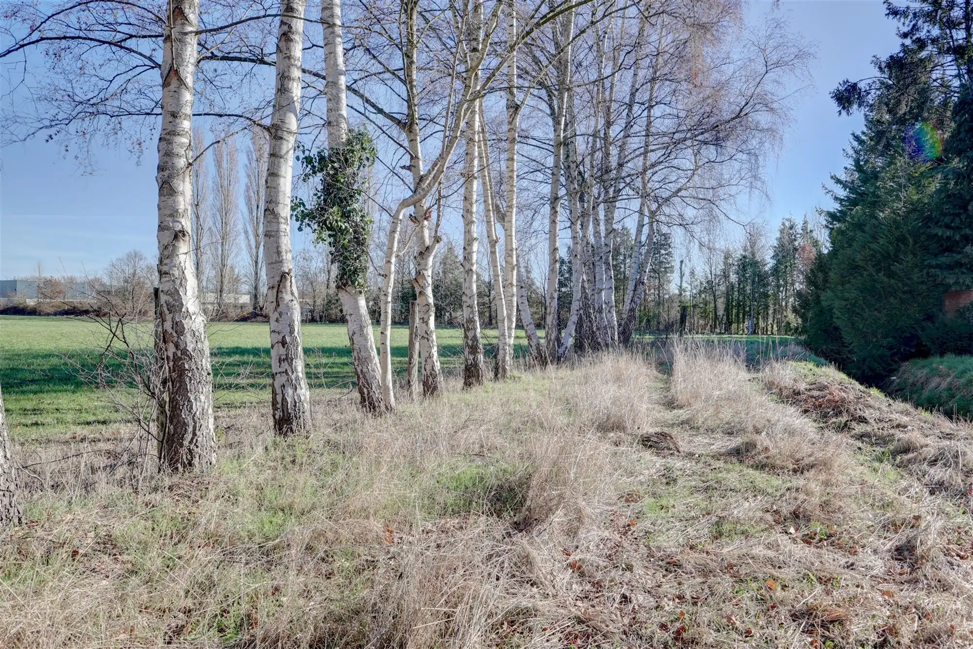 Idyllische paardenweide / bosgrond in Bonheiden foto 7