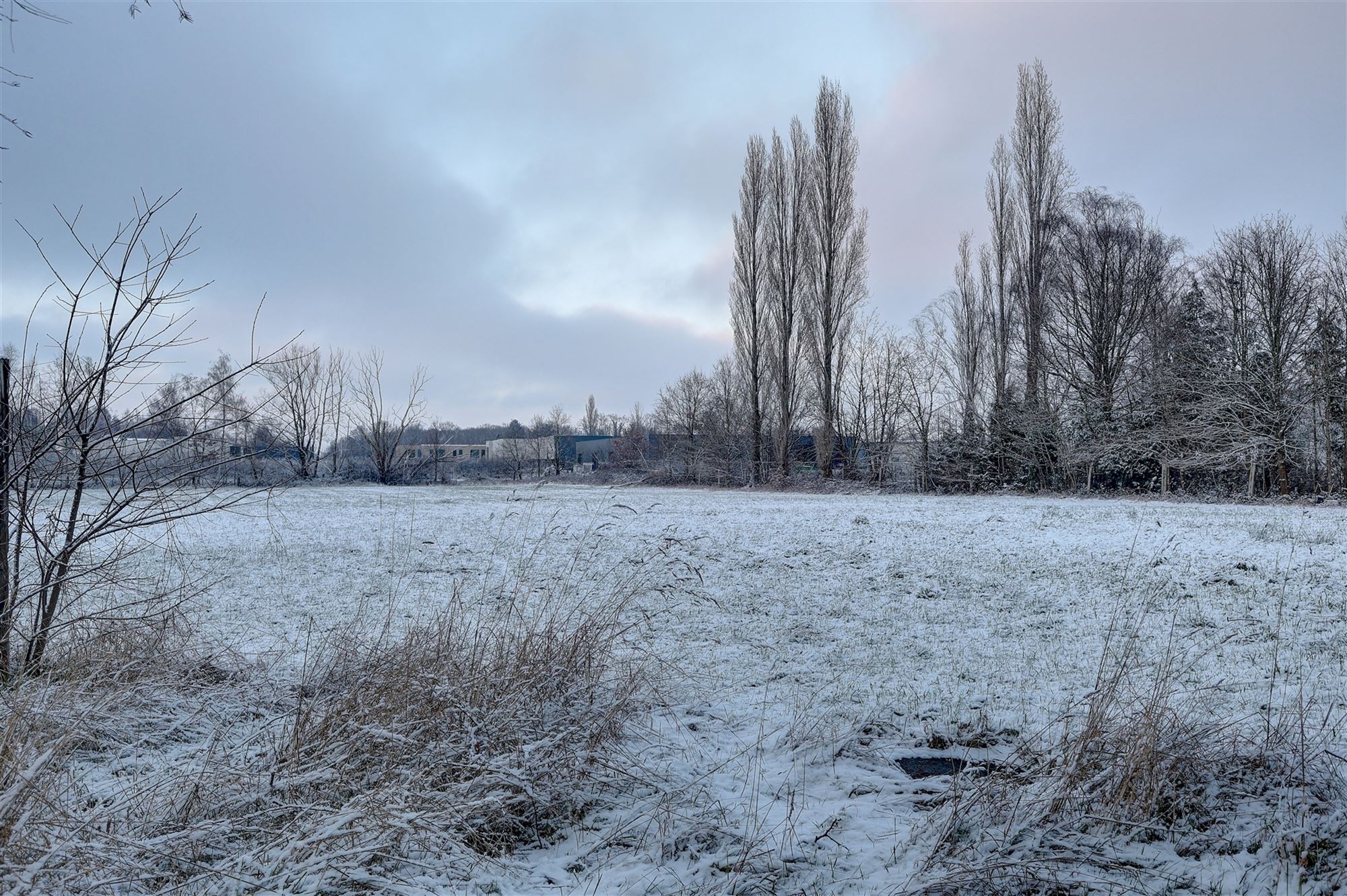 Idyllische paardenweide / bosgrond in Bonheiden foto 7