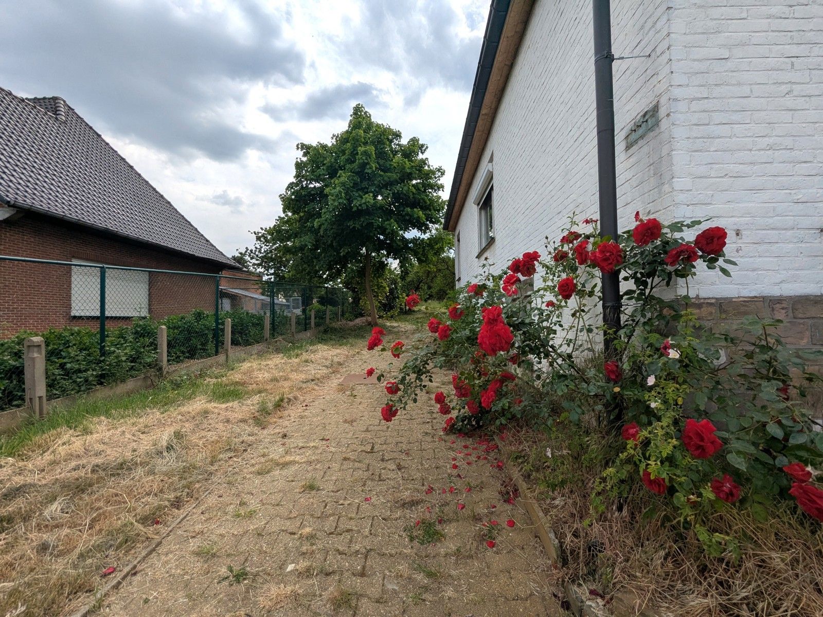 Karaktervolle jaren 70 villa op zuid-gericht perceel 1994m²  foto 7
