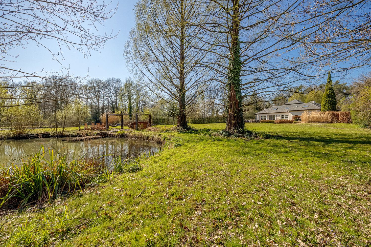 Villa op een uniek perceel van 1 hectare met vijver en zwembad foto 2