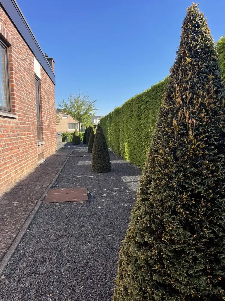 Rustig gelegen vrijstaande woning met zonovergoten tuin foto 18
