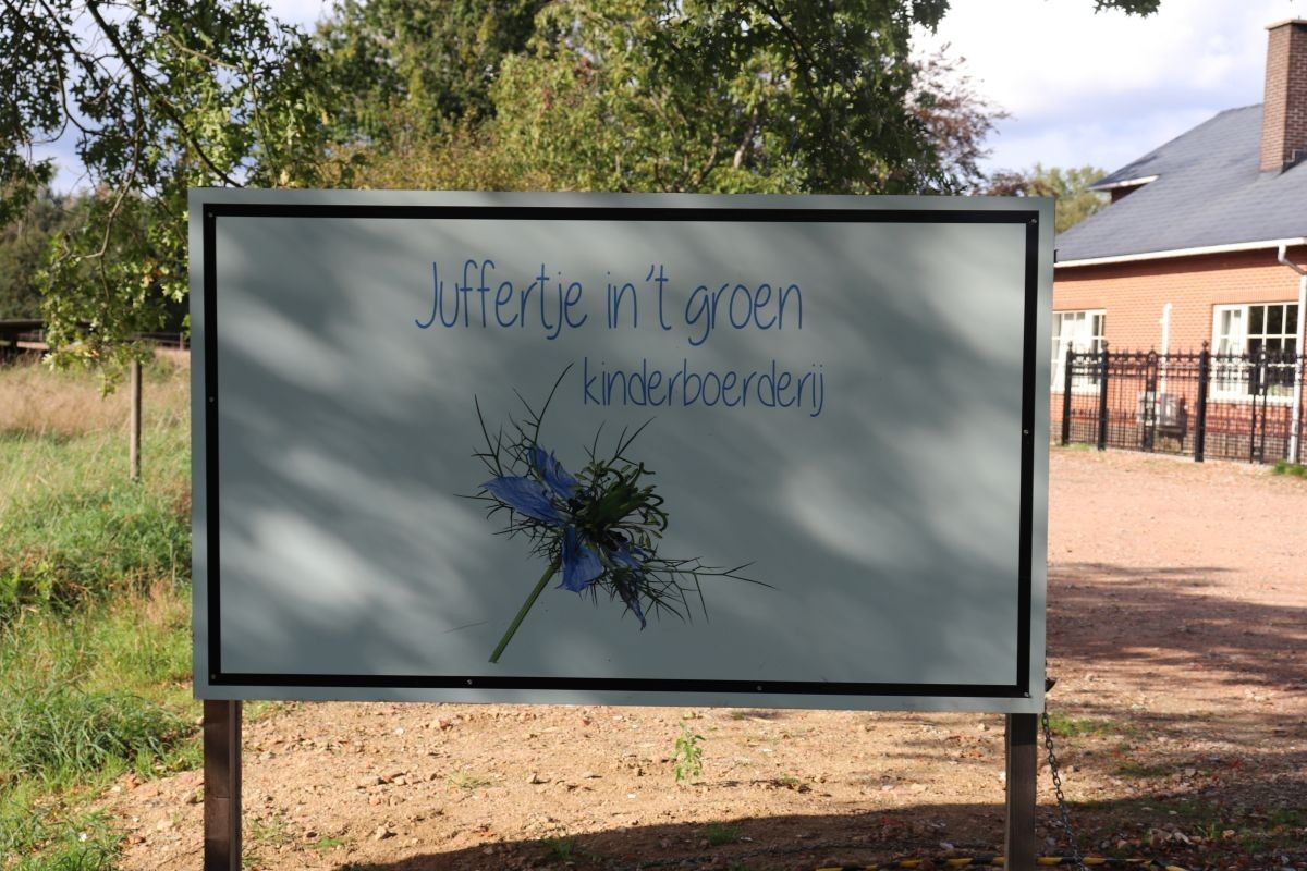 Hoeve met recreatie te koop centrum Tessenderlo op circa 2 ha foto 19