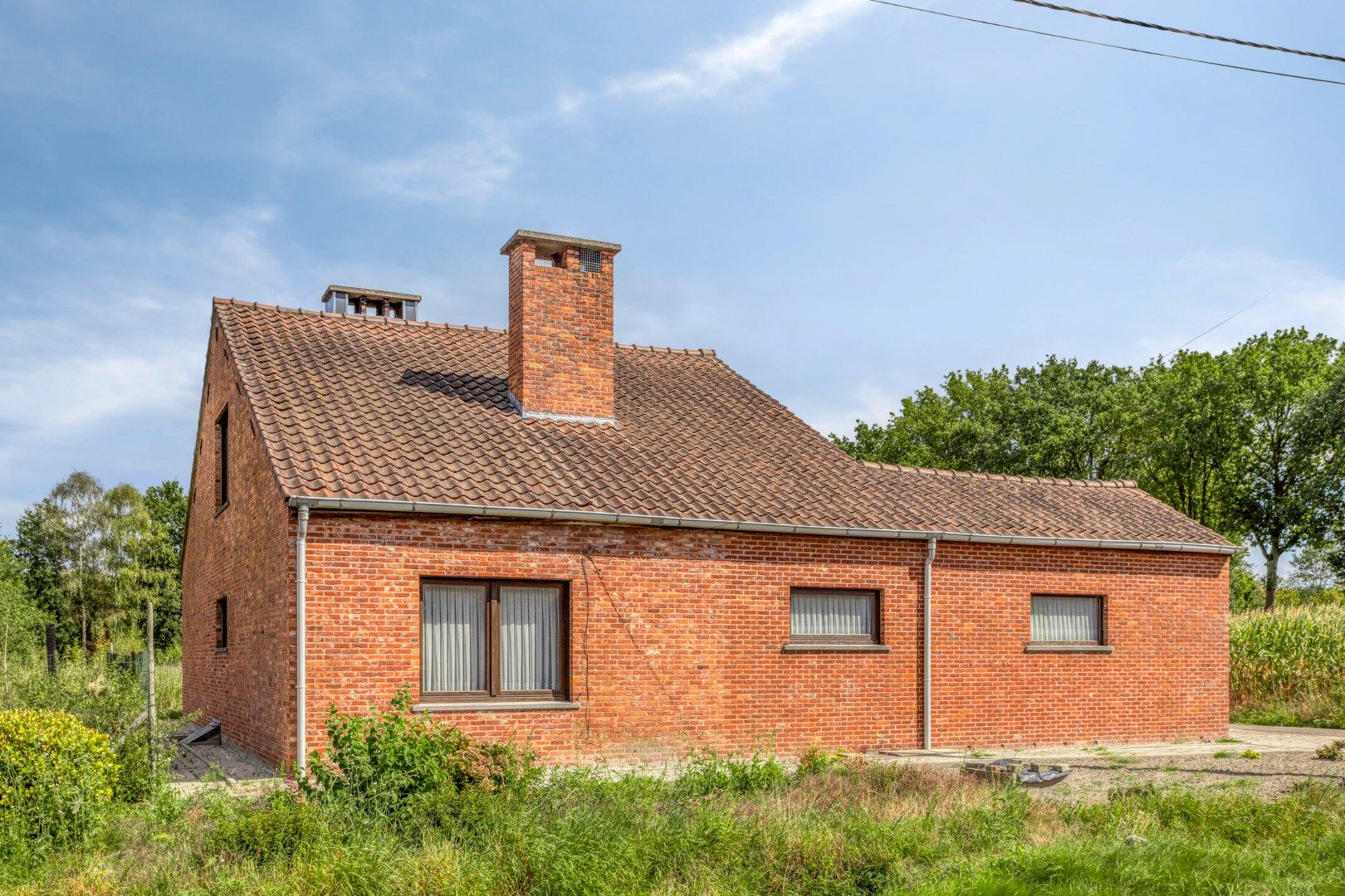 Woning met 3 slaapkamers op 3.363 m², landelijk gelegen te Olen ! foto 9