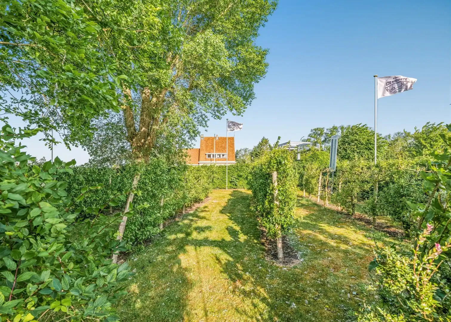 Restaurant met privéwoning en 2 B&B-kamers op 4.370 m² foto 27
