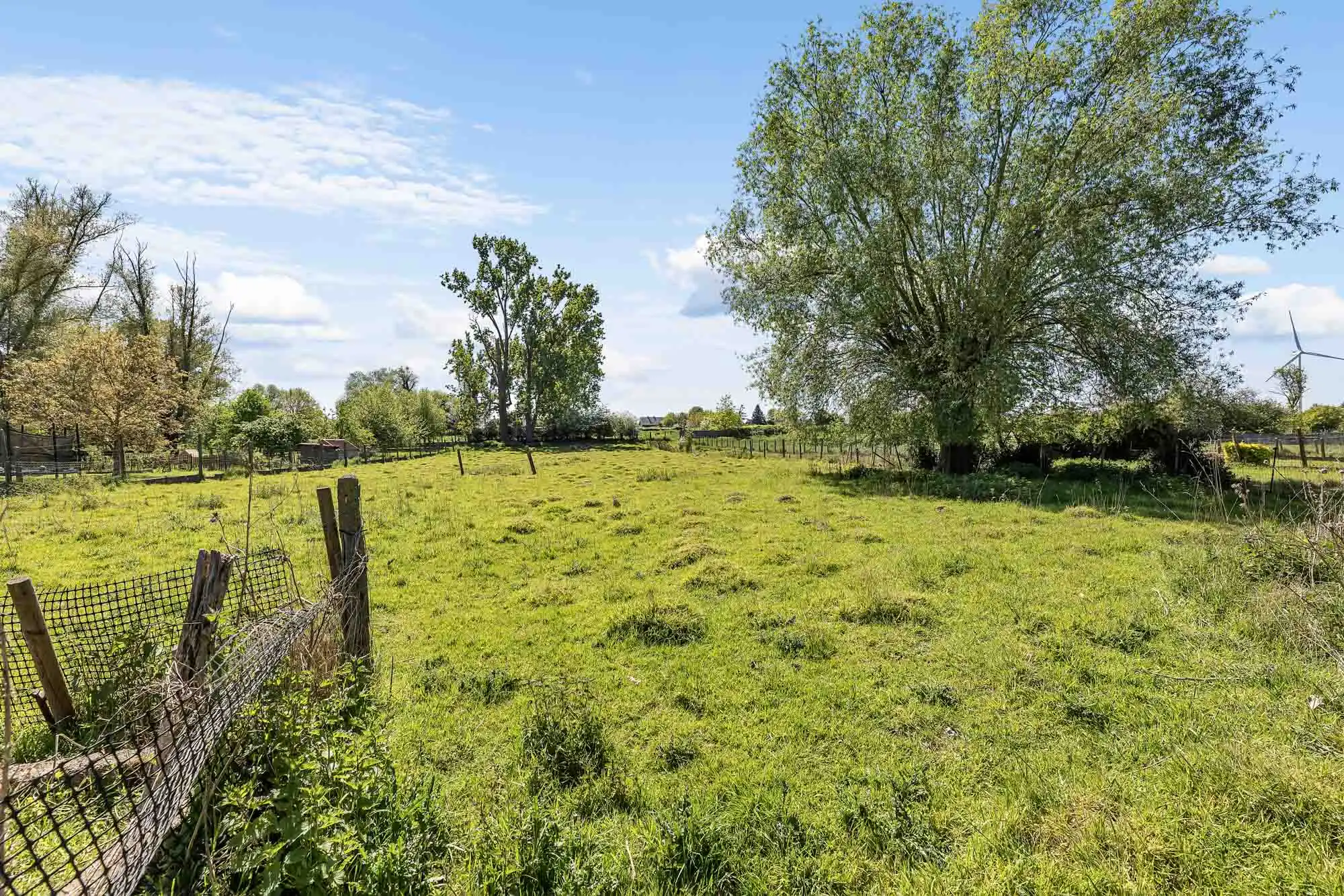 Ruime te renoveren woning met loods en bouwgrond foto 28
